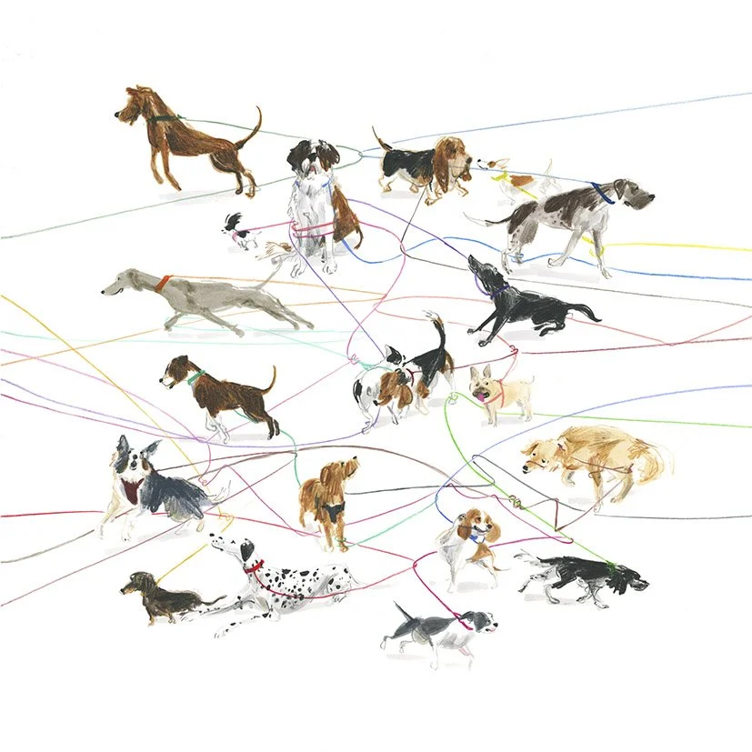 JennyBloomfield_massive tangle_lowres.jpg