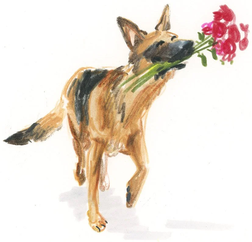 JennyBloomfield_Rosie_lowres.jpg