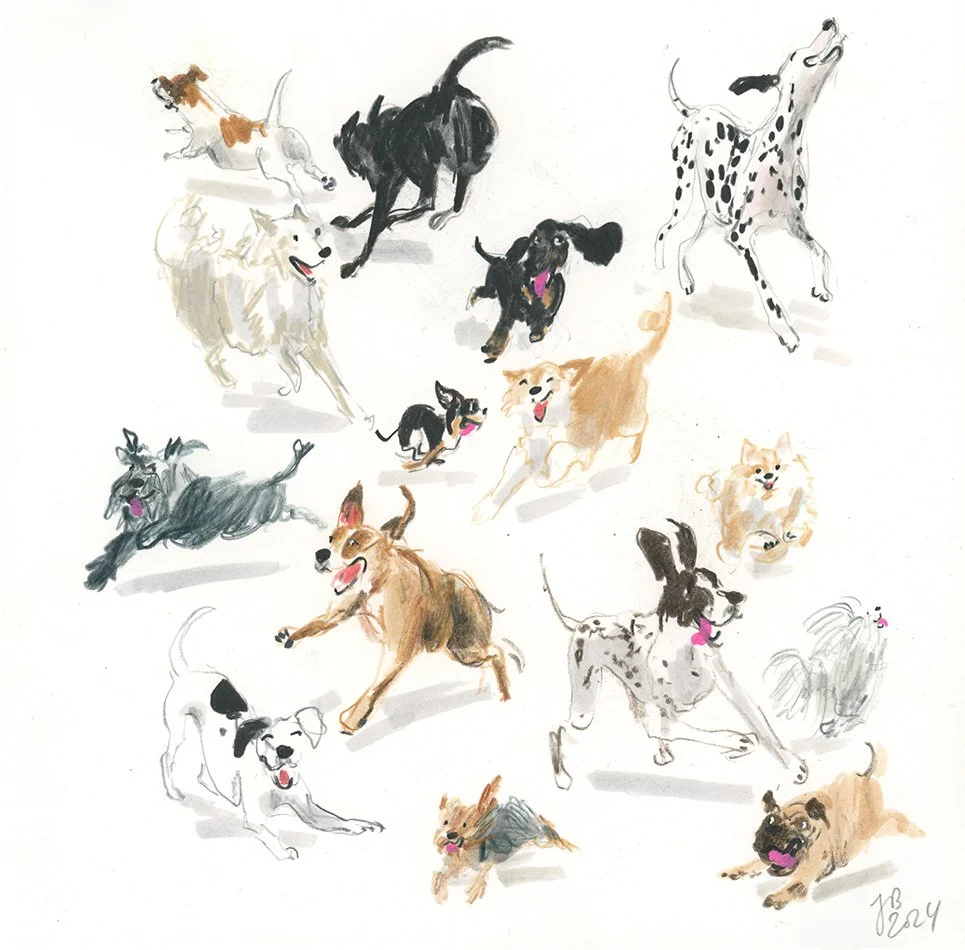JennyBloomfield_Tuesday morning zoomies_lowres.jpg