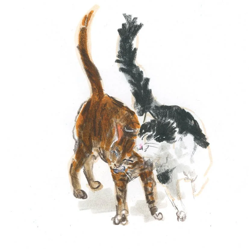 JennyBloomfield_Cat nuzzle3_lowres.jpg