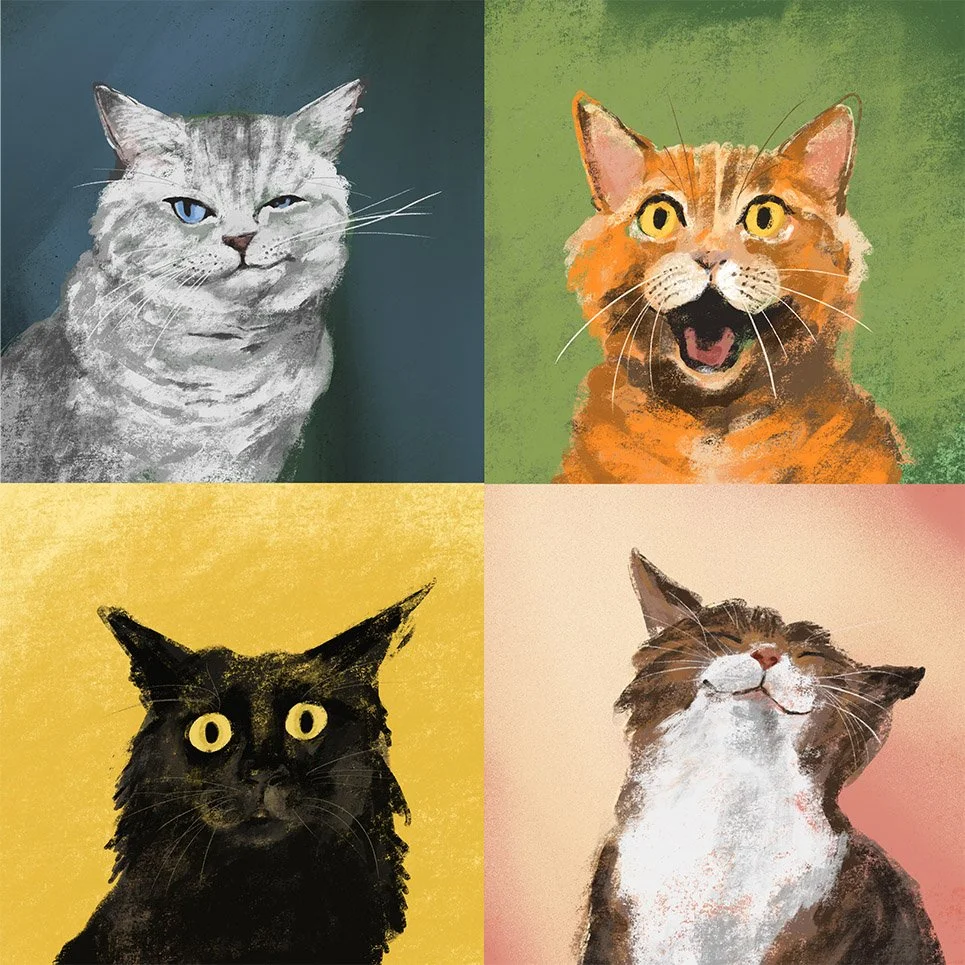JennyBloomfield_cat expressions.jpg