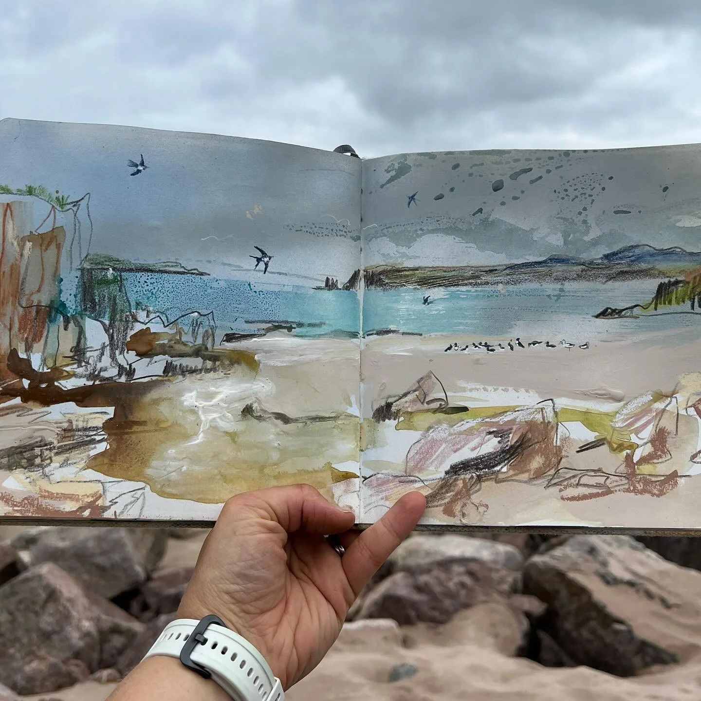 Day 4011: Swallows and oystercatchers on the beach this morning; and a quickie of the Smoo Cave up the road - I was chased away by midges.

Both pages had spray paint applied before I left home. On the beach I used gouache, a tester of emulsion for t