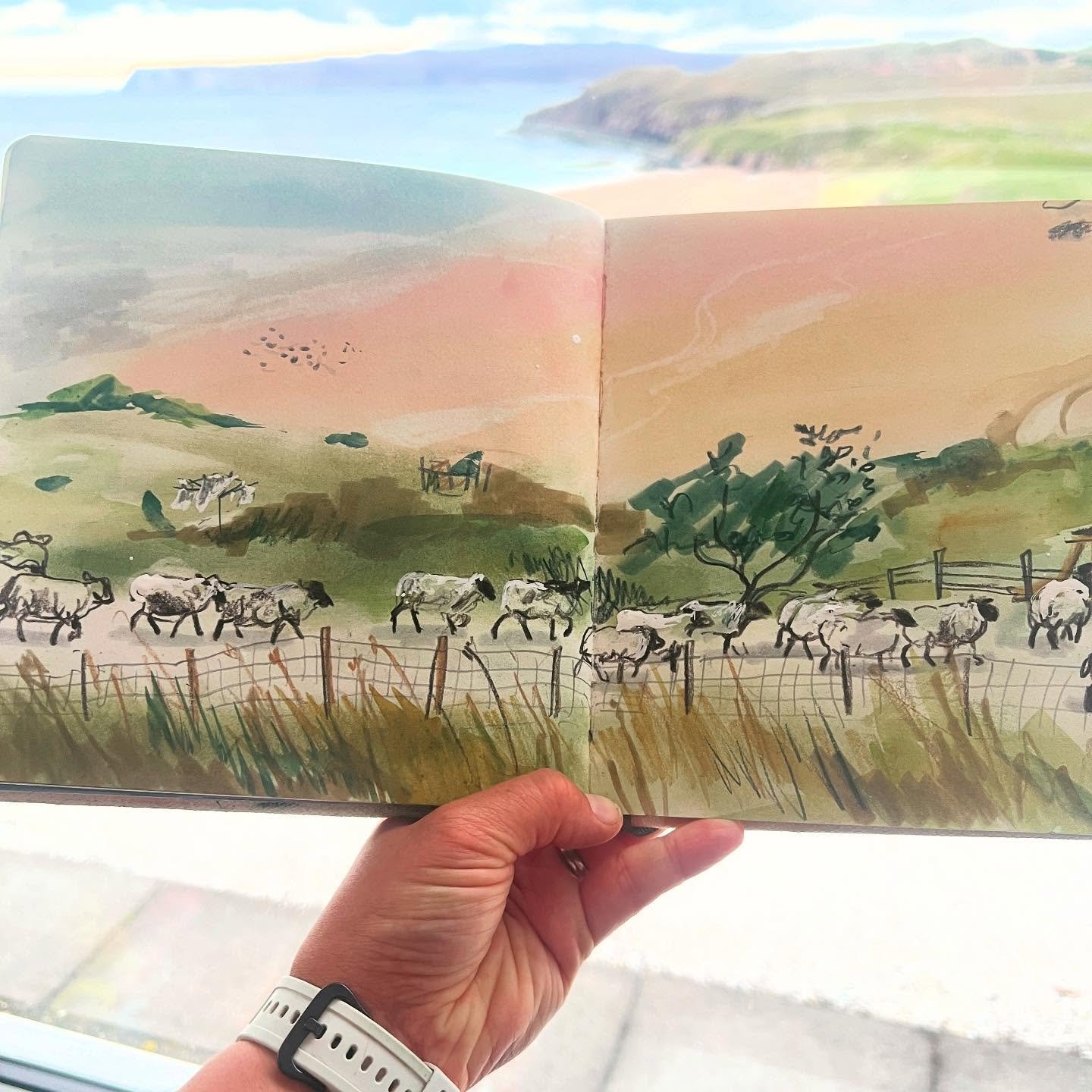 Day 4015: 🏴󠁧󠁢󠁳󠁣󠁴󠁿 some local sheep on the move (they seem to traipse down the road completely independently); beach sketch at our lunch top on our walk around the Kyle of Durness, I think I identified the birds as ringed plovers. There was a s