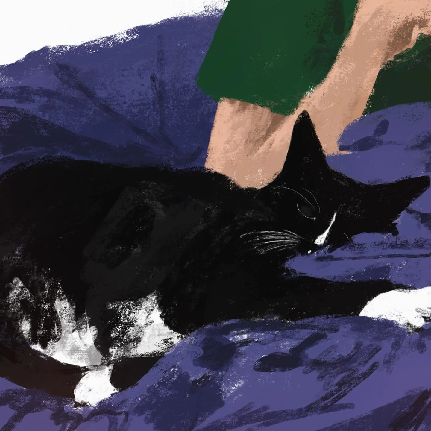 Day 4018: home - today has been all about this one - I think we are forgiven for leaving her.

#drawingaday #drawingadaychallenge #illustration #dailysketch #procreate #catsofinstagram #catstagram