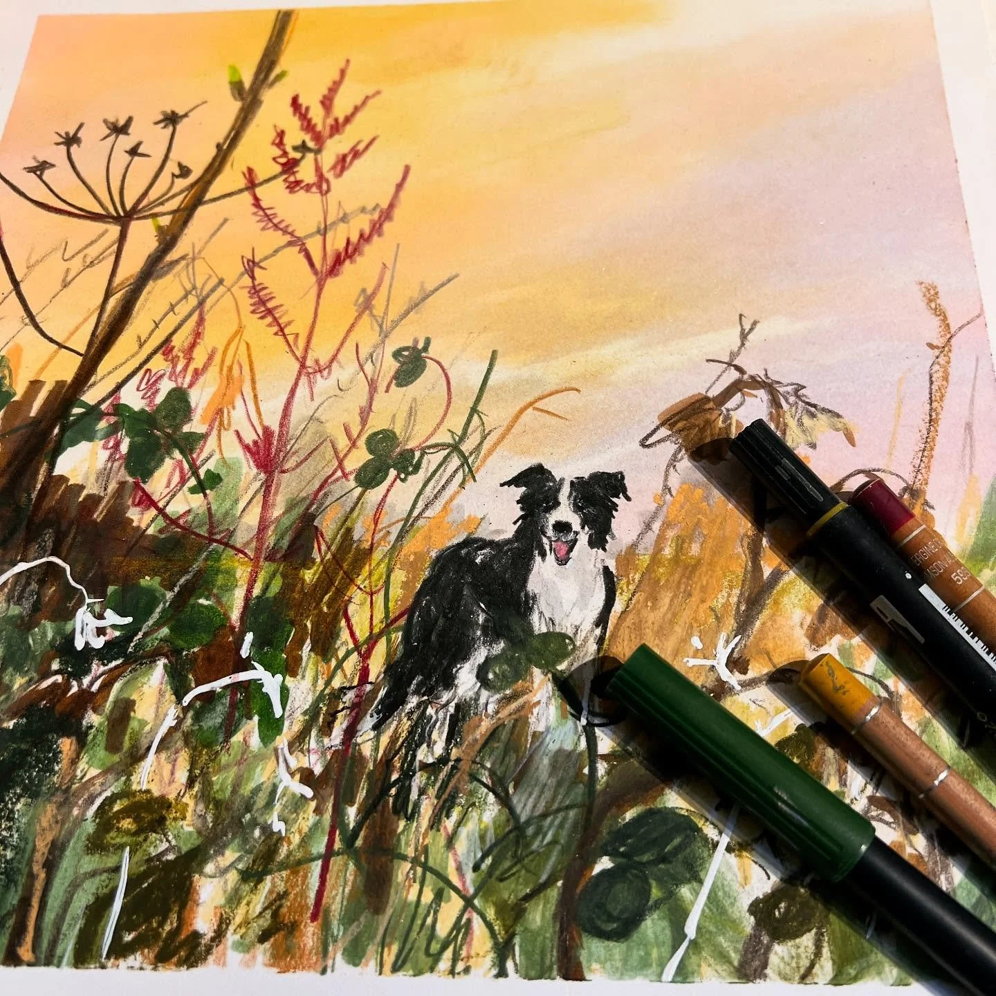 Day 4022: Wintery border collie 🐾 

#drawingaday #drawingadaychallenge #illustration #dailysketch #sketchbook #dogsofinstagram #bordercollie #hedgerow #dogwalk