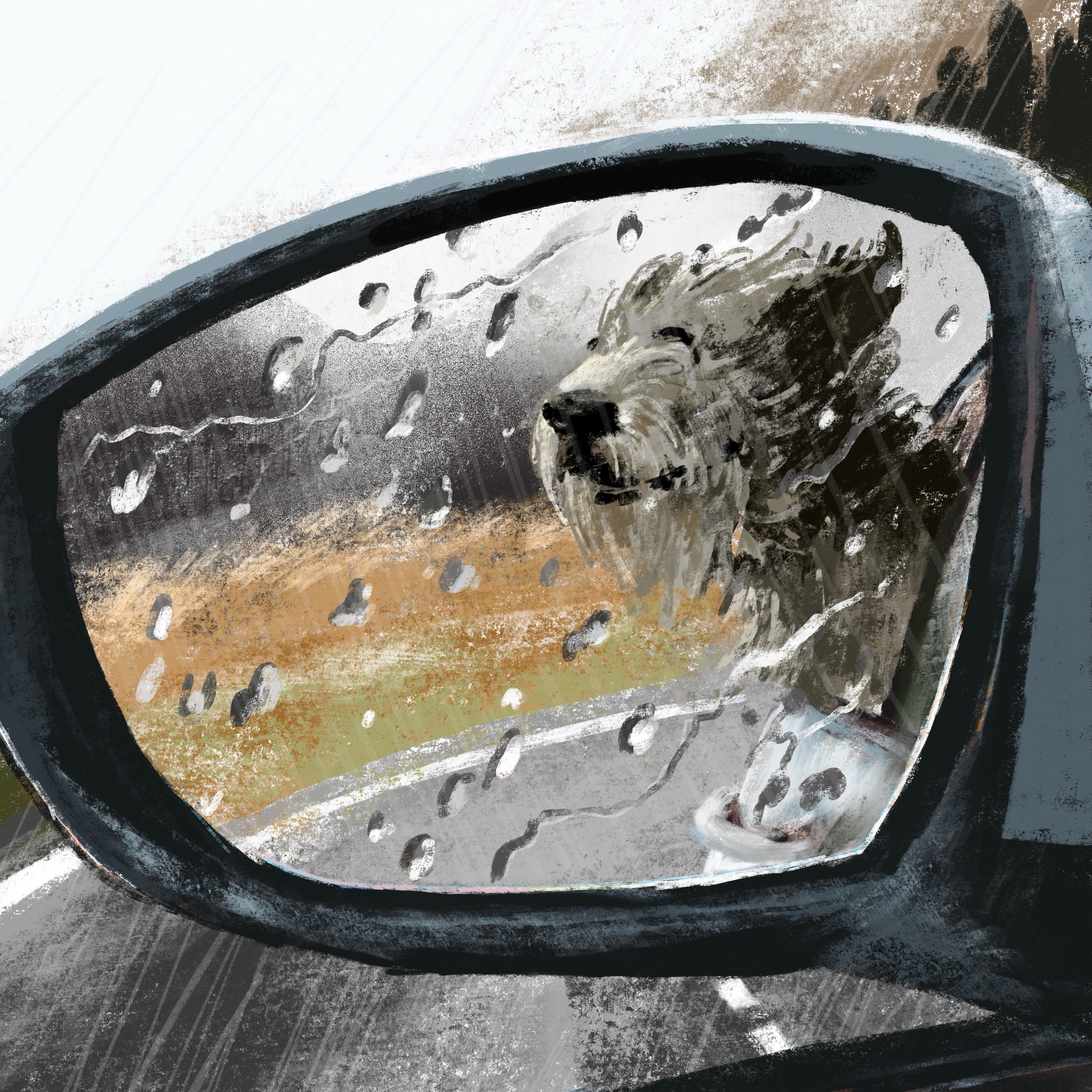 Day 4425: Rear View Rain

The weather has turned, but all weather feels good 😀 

#drawingadaychallenge #irishwolfhound #dogsofinstagram #procreate #rainyday