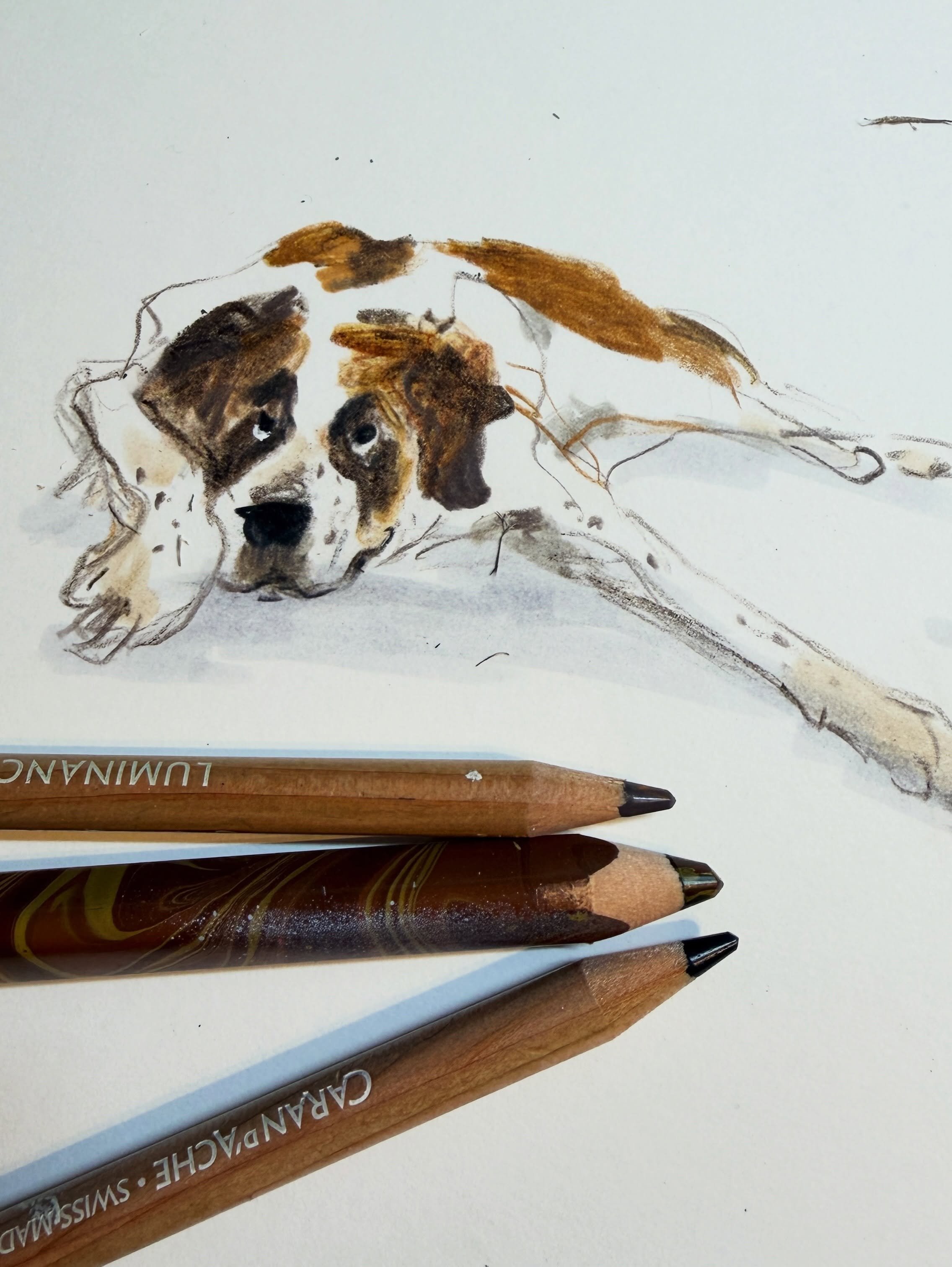 Day 4430: Saturday chillin&rsquo;

#drawingadaychallenge #drawingdogs #dogsofinstagram #mixedmediadrawing #dailysketch