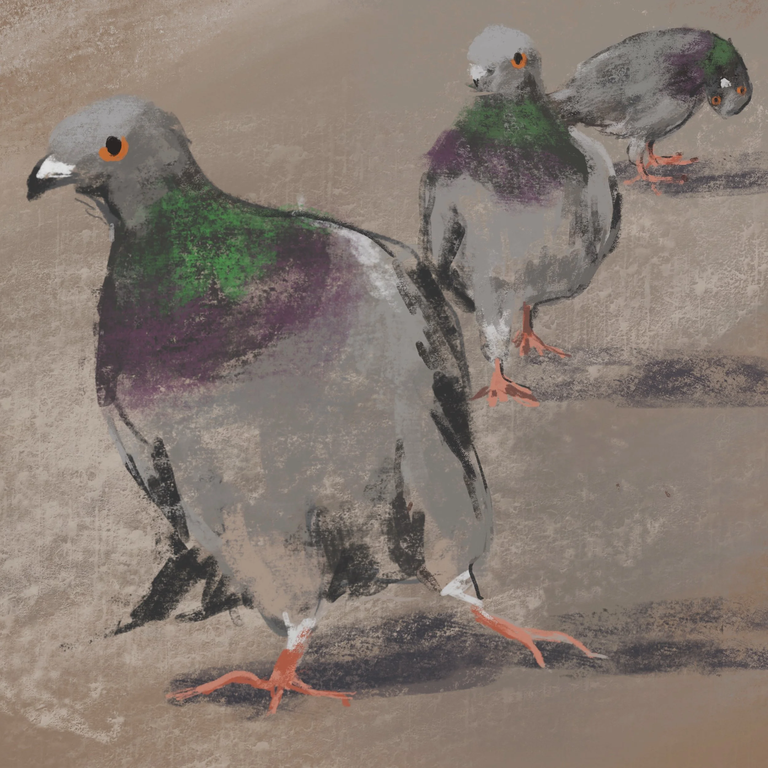 Day 4431: Some funky pigeons

#drawingadaychallenge #procreate #birdsofinstagram #pigeonsofinstagram #childrensbookillustration