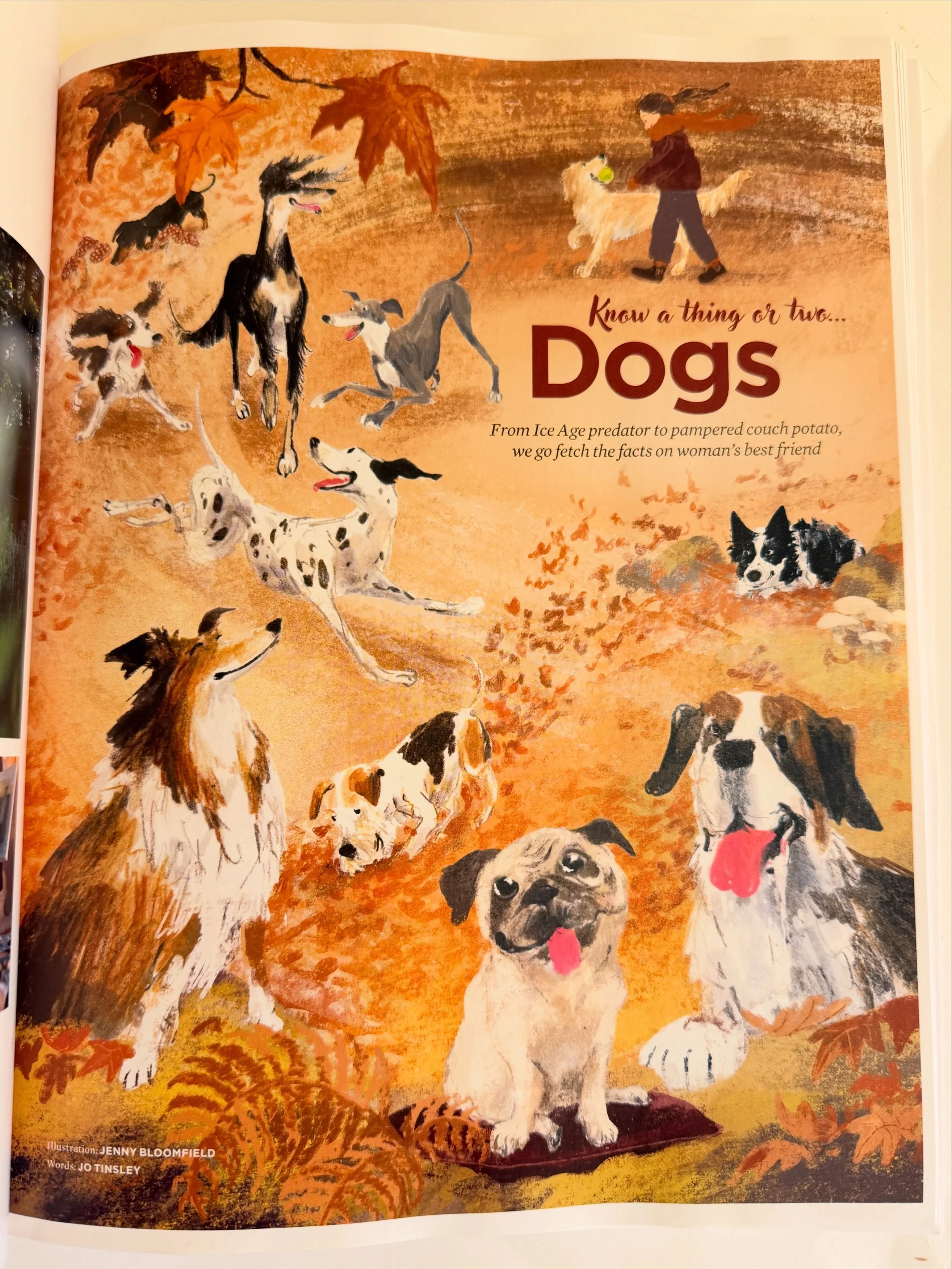 An editorial illustration I did for the November issue of @simplethingsmag 🍂 🐾 🧡

#dogsofinstagram #drawingdogs