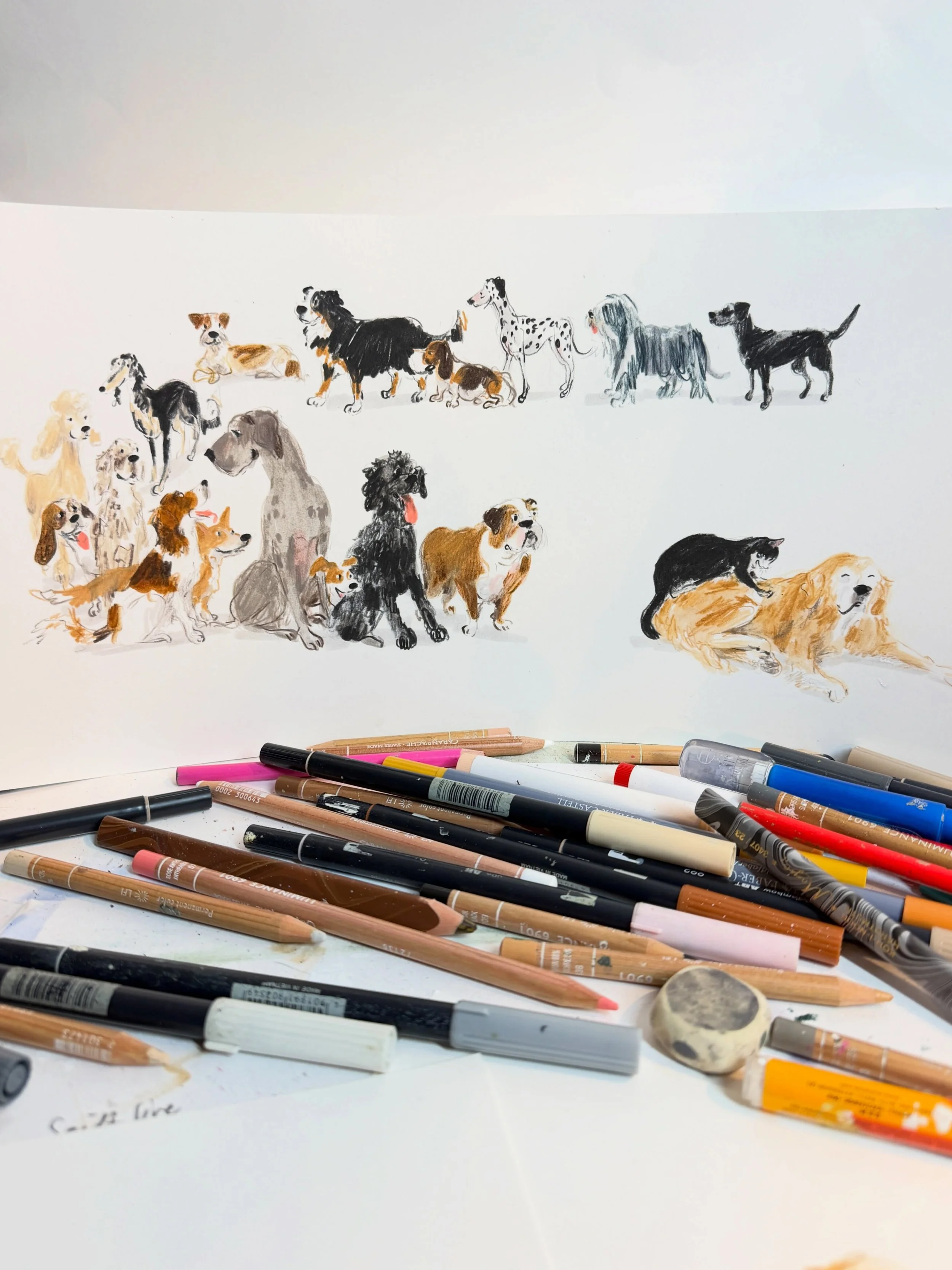 Day 4436: The Queue 🐈&zwj;⬛ 🐕 🐕 🐕 🐕 🐕 🐕 

This one will be included in my next release of original drawings on Friday 6th November at 7pm (UK time) 🐾 

#drawingadaychallenge #dogsofinstagram #spatreatment #catsofinstagram #catkneading