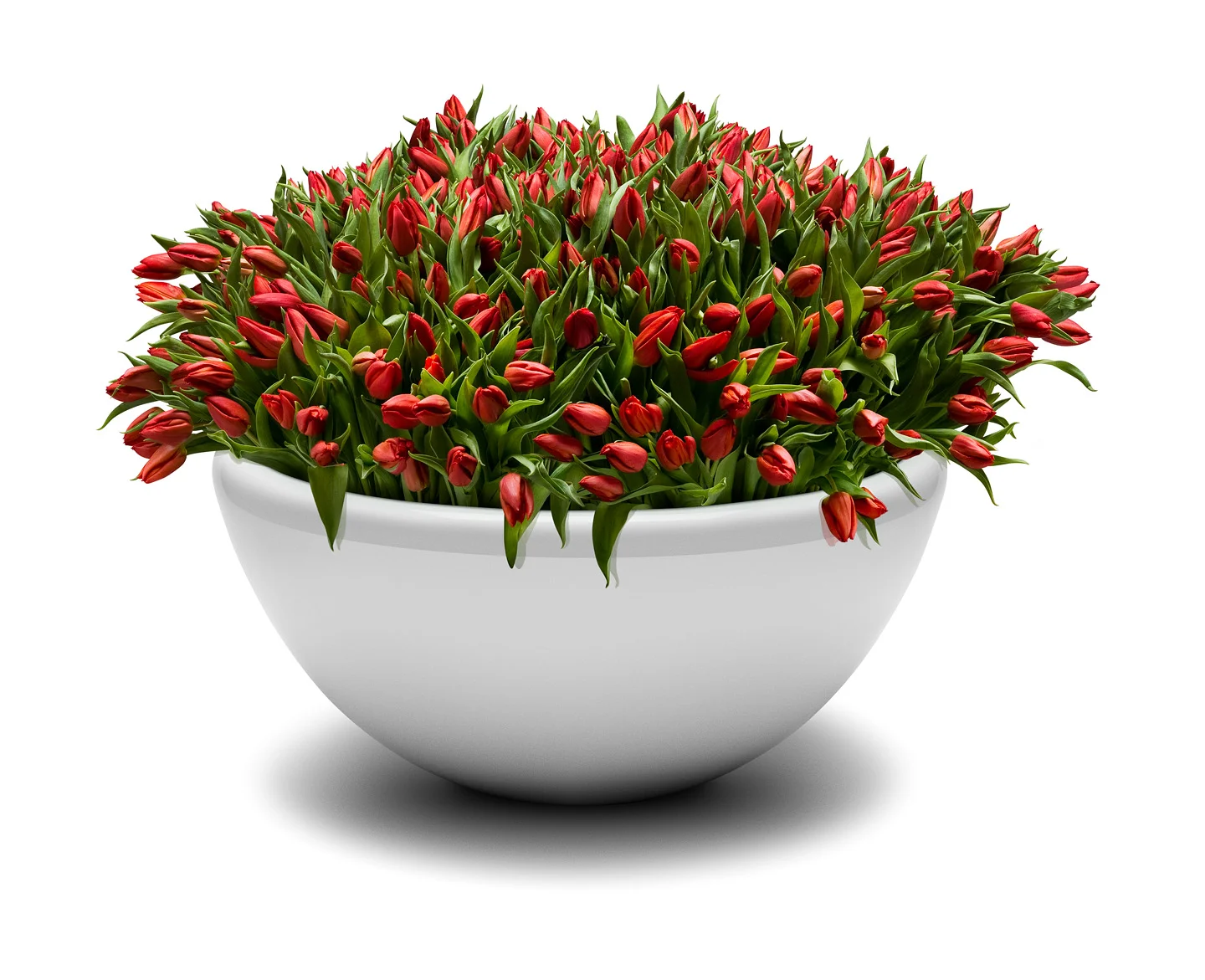 Union Flowerpot.jpg