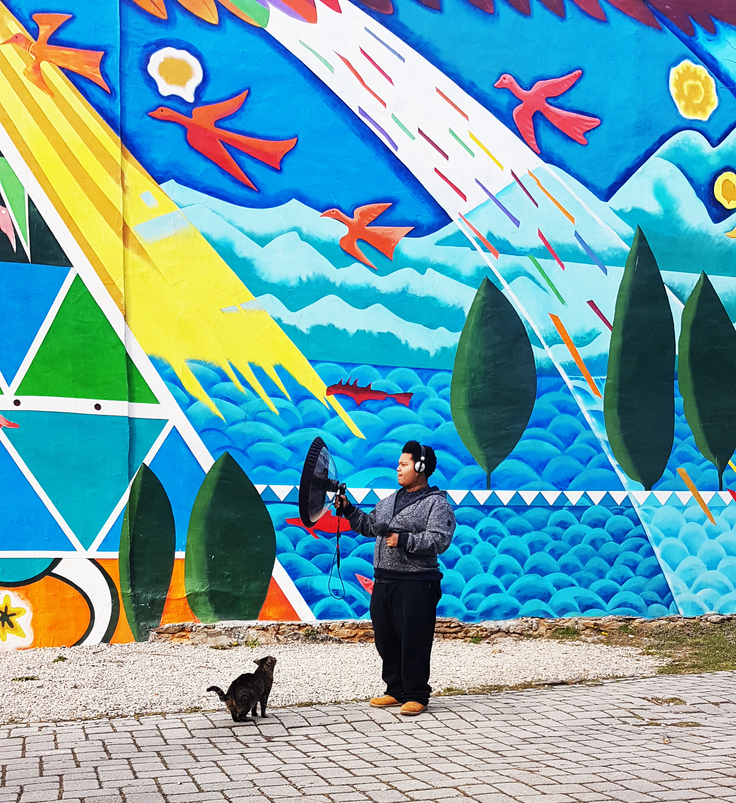 Mixes from the Field