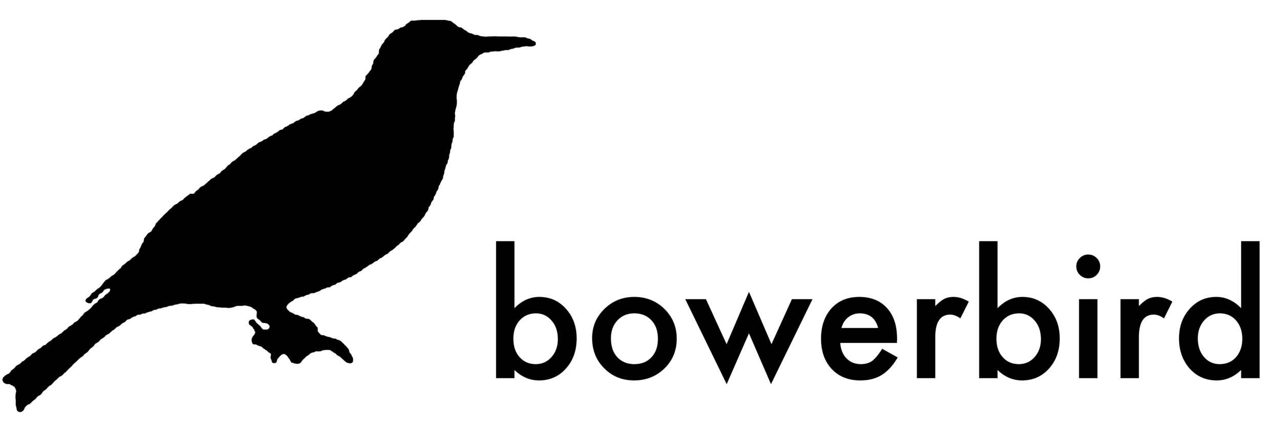 bowerbird_logo_words.png