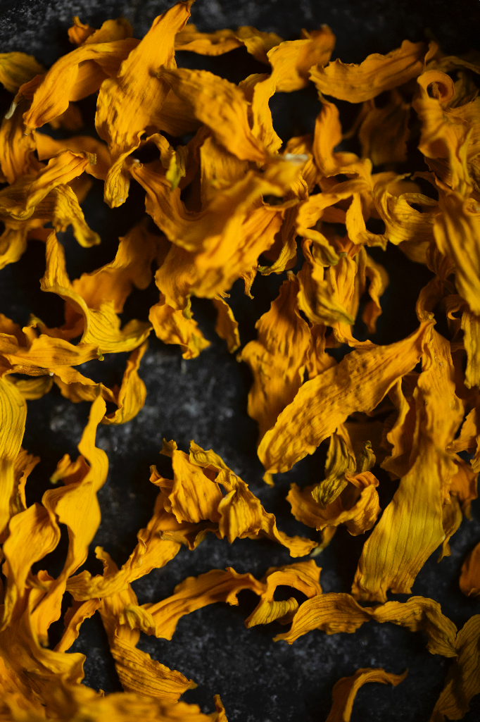 Screenshot 2025-01-15 alle 16.30.13.png