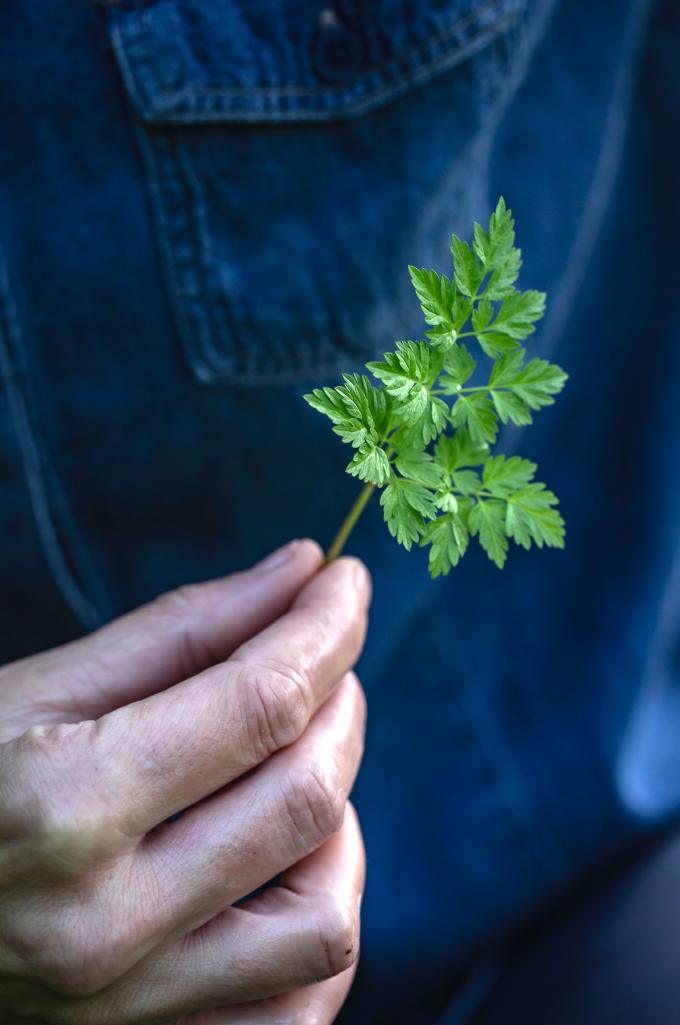 Screenshot 2025-01-15 alle 16.39.12.png