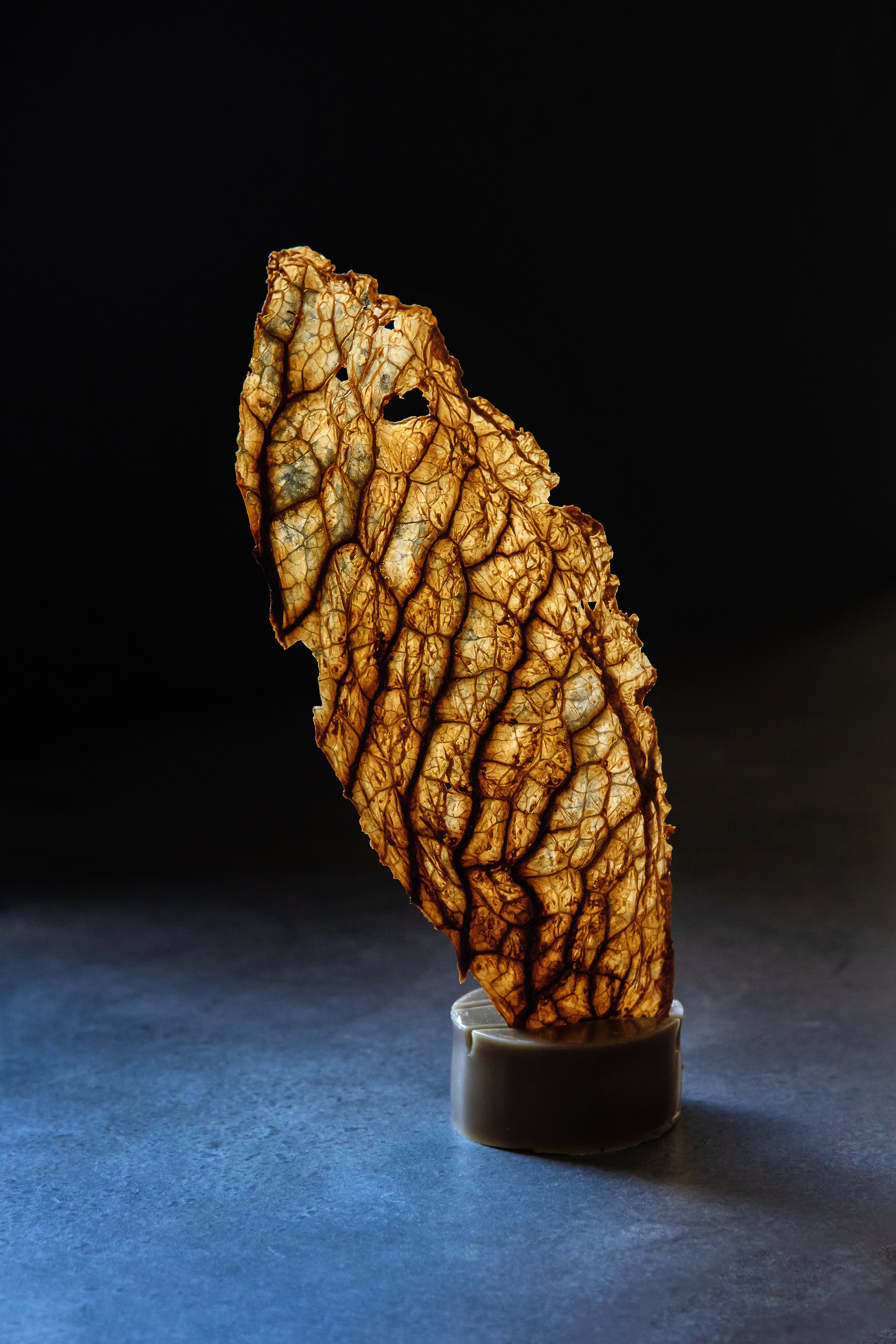 2022-02-07 AL TATTO2736_1.jpg