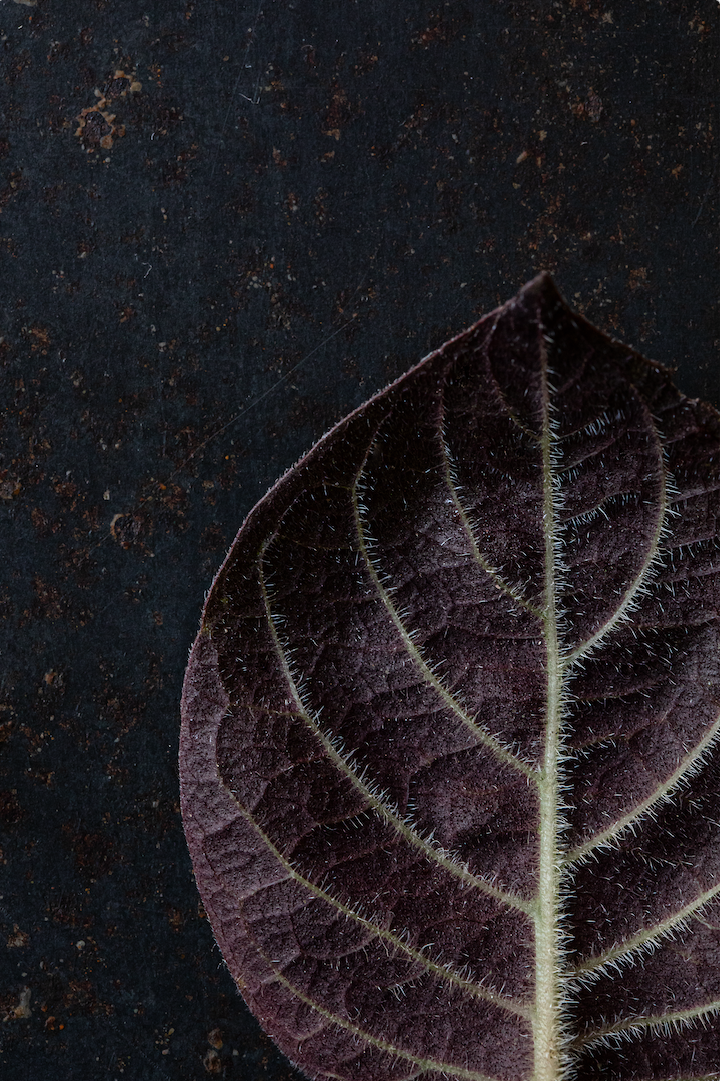 Screenshot 2026-03-30 alle 13.20.59.png