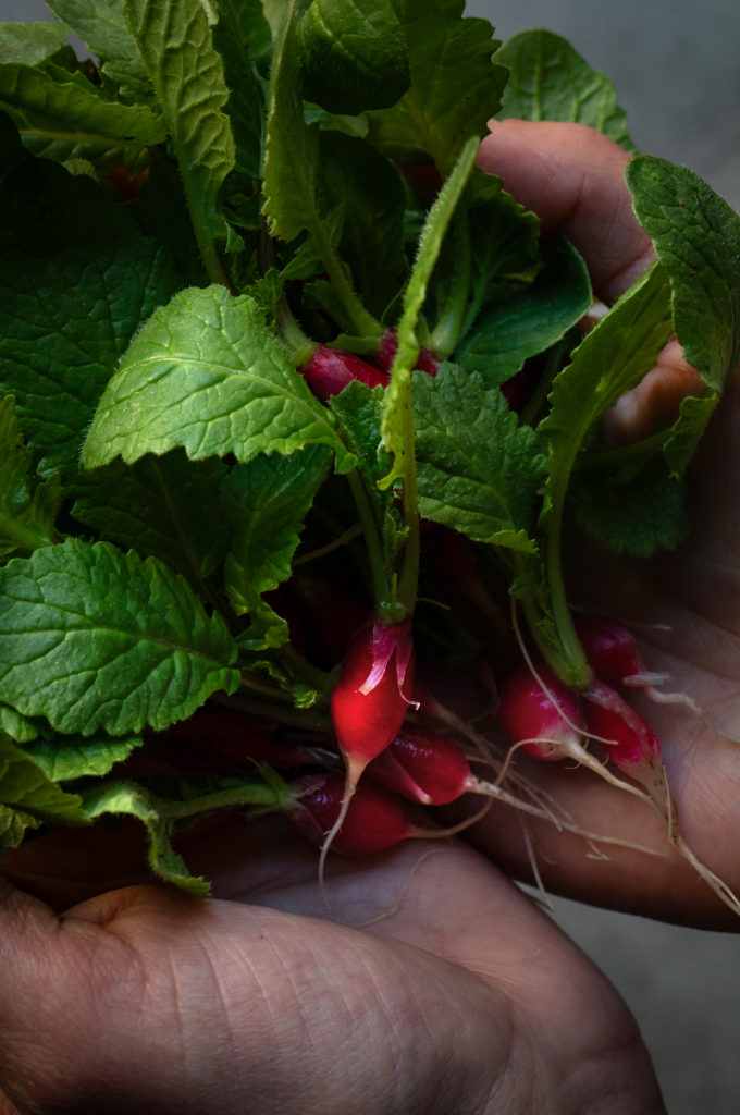 Screenshot 2026-03-30 alle 13.30.26.png