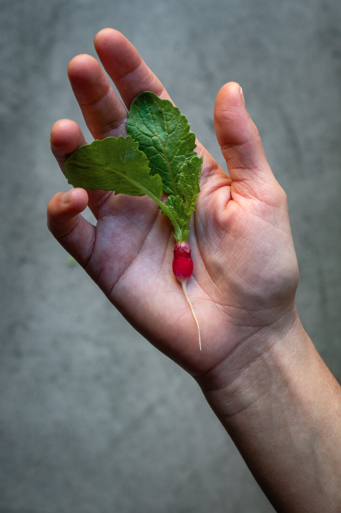 Screenshot 2026-03-30 alle 13.30.38.png