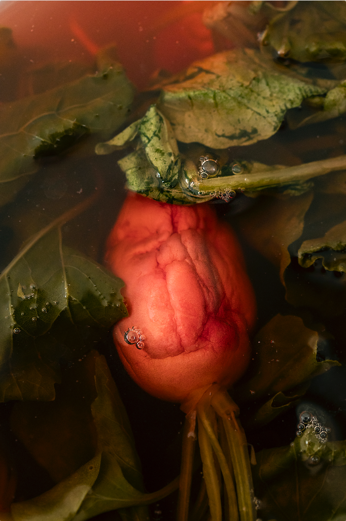 Screenshot 2026-03-30 alle 13.39.10.png