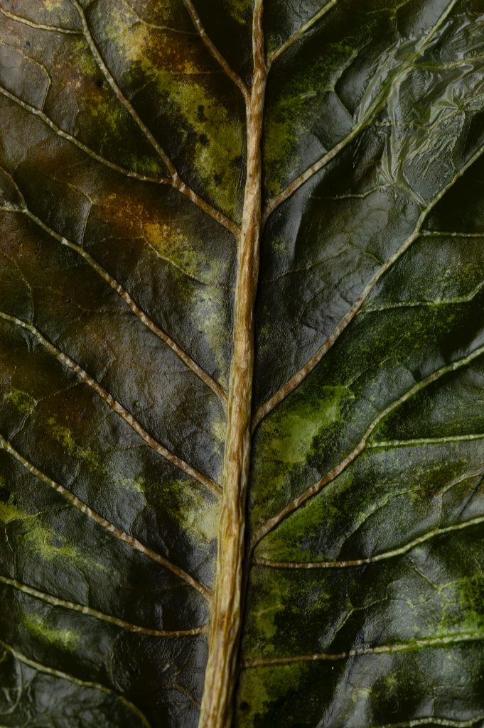 Screenshot 2026-03-30 alle 14.16.43.png