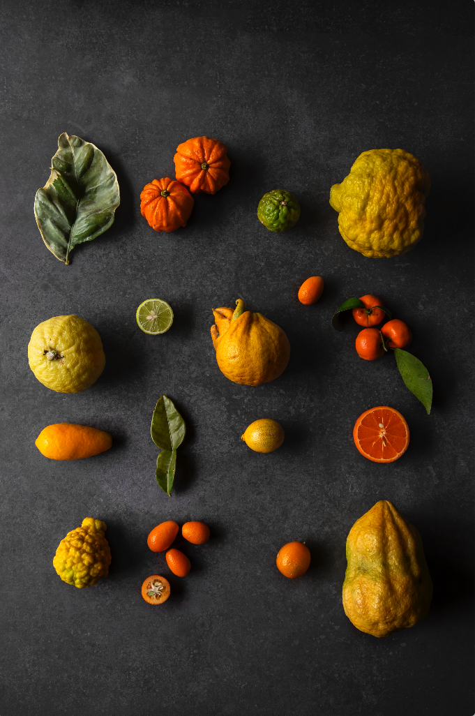 Screenshot 2026-03-30 alle 14.19.19.png