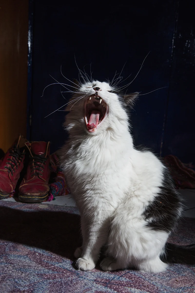 Ioustini Drakoulakou