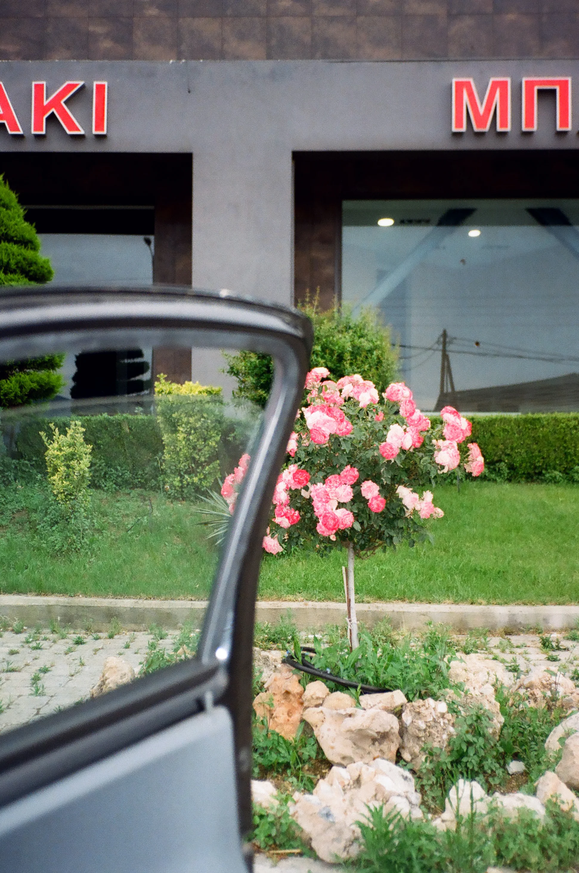 orfeas-sampatakakis (4).JPG