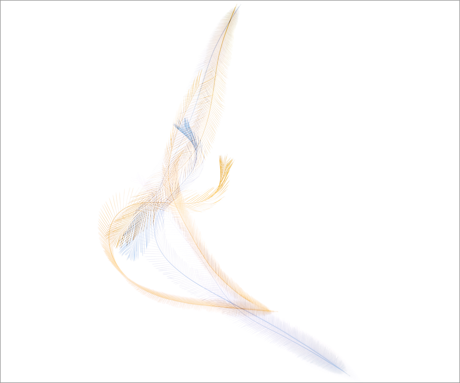 Threshold_Emu_Fall_II.jpg