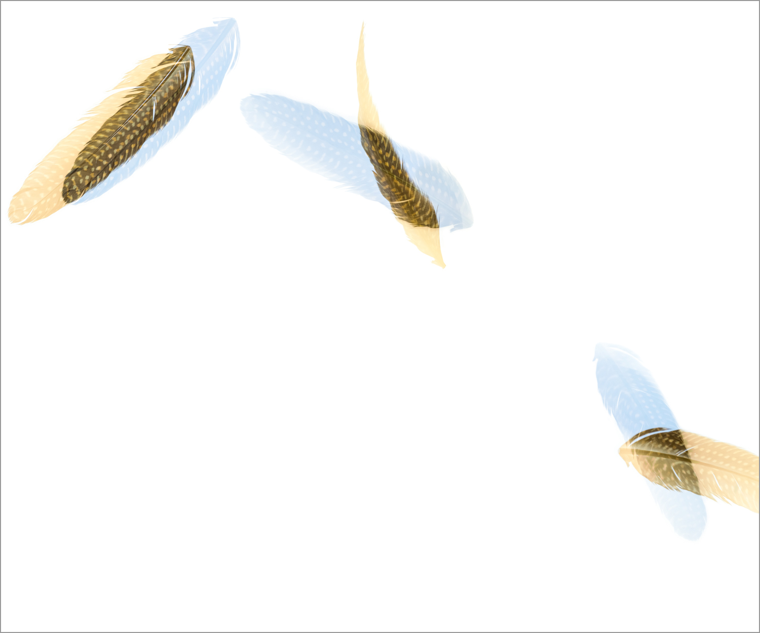 Threshold_HelmutedGF_Fall_I.jpg