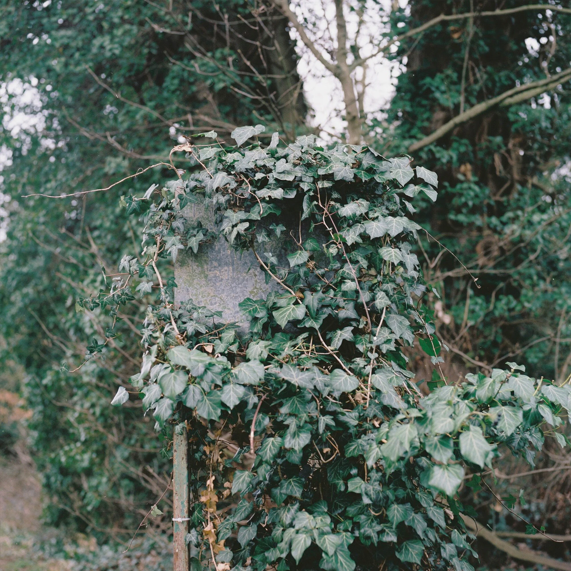 Agne Rita Kucinskaite