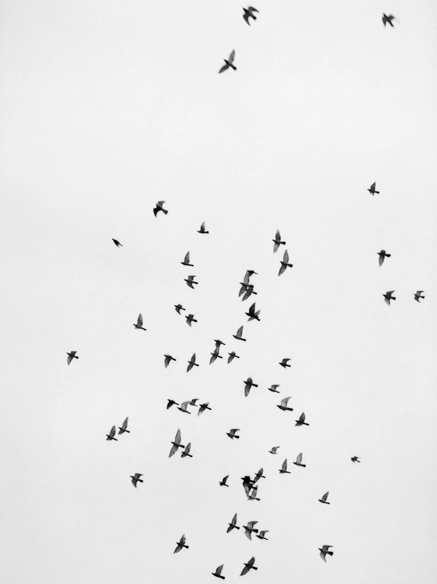 Al J Thompson — FLOAT