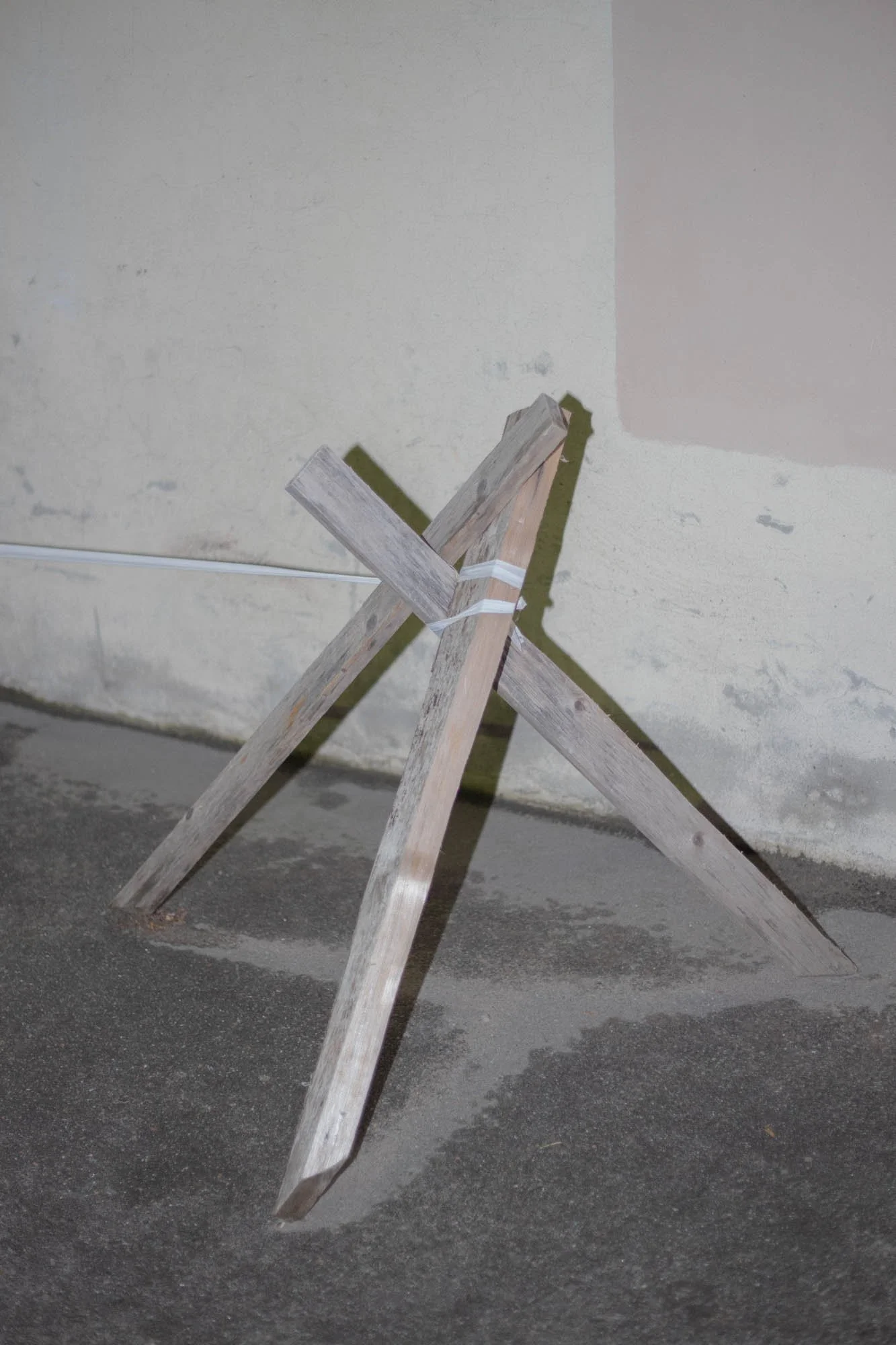 TIP_Ichthys_05.jpg