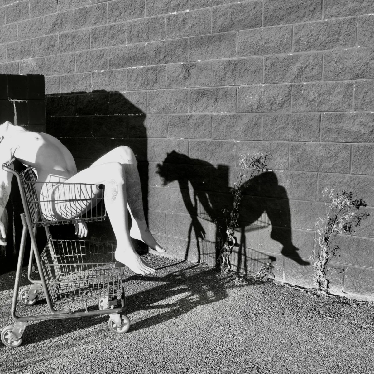  Ivan Beck | www. iamdiggingdeep.com  