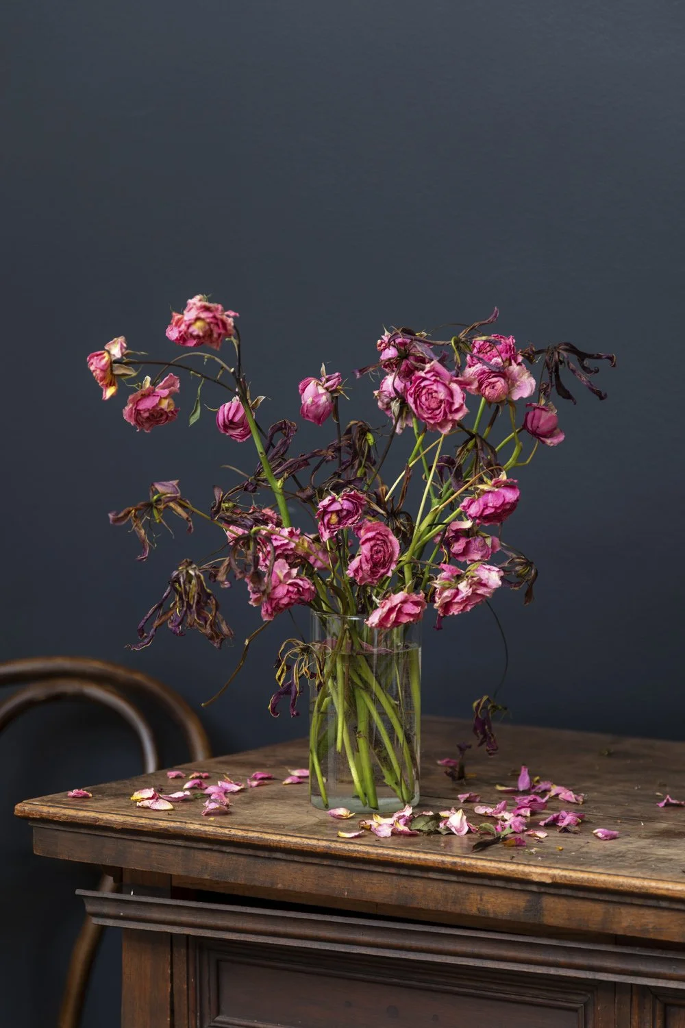   Riley Goodman    www.rileycgoodman.com  