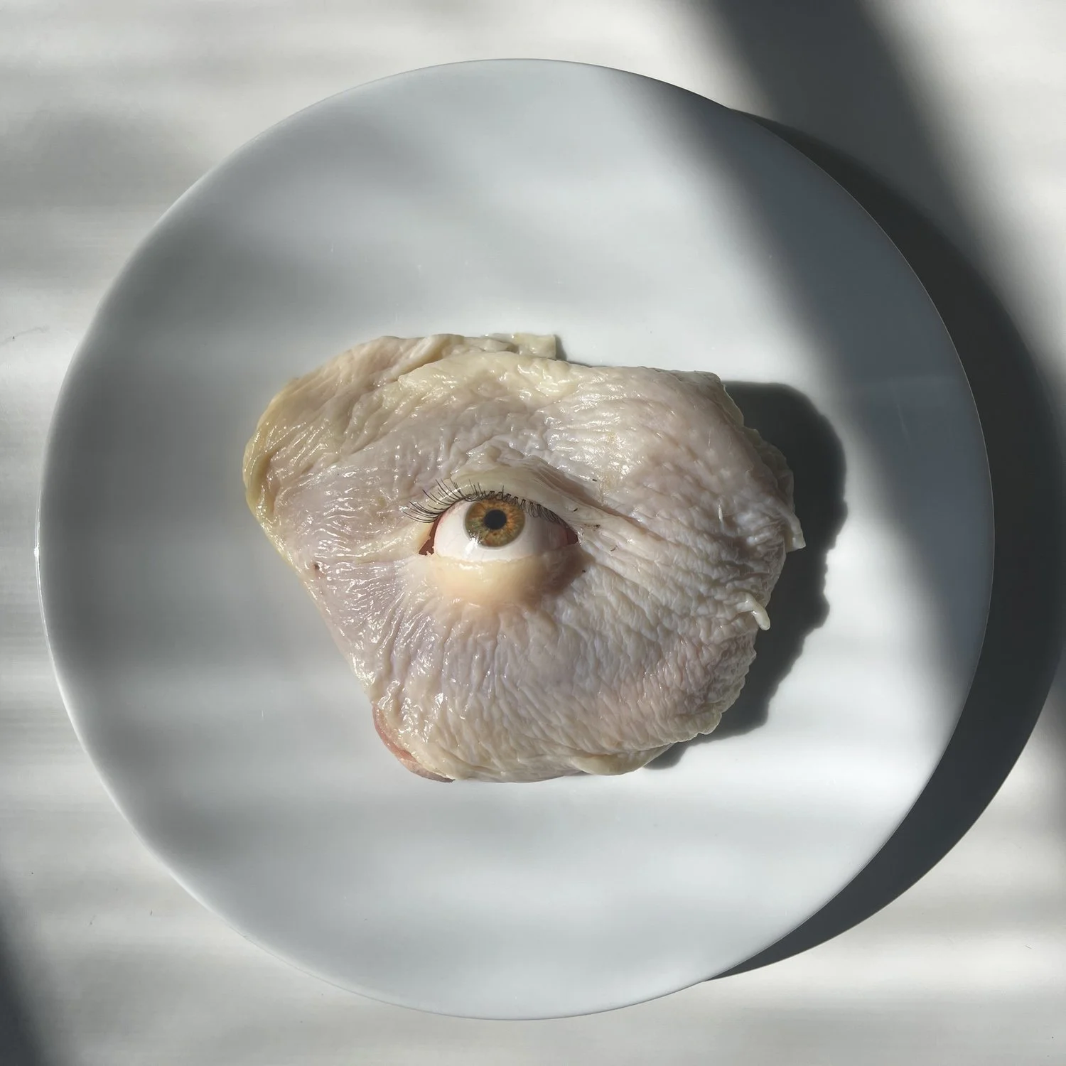   Aline Smithson    www.alinesmithson.com  