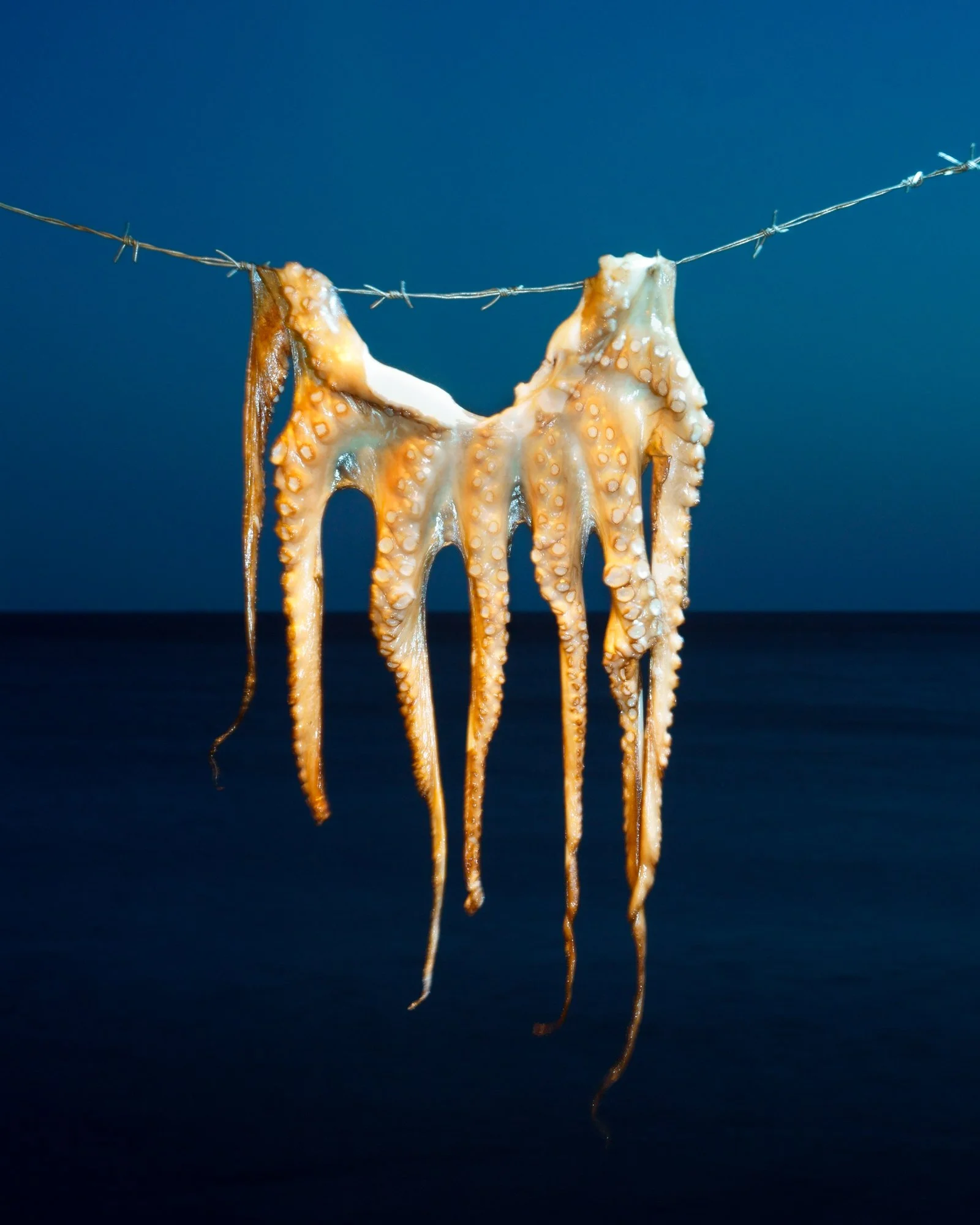   Alex Zaf  @alex.zaf.alex 