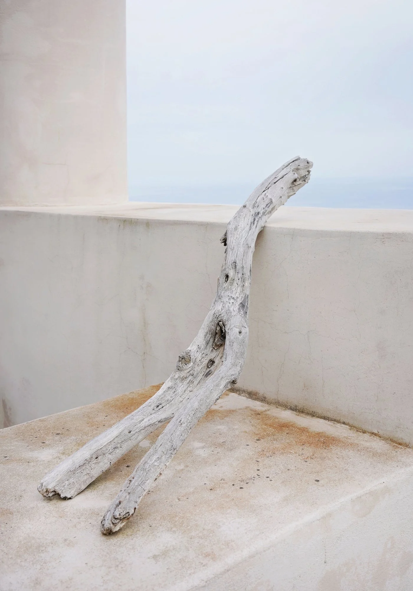   Angela Ferrotti   www.angelaferrotti.com                           ‍ 