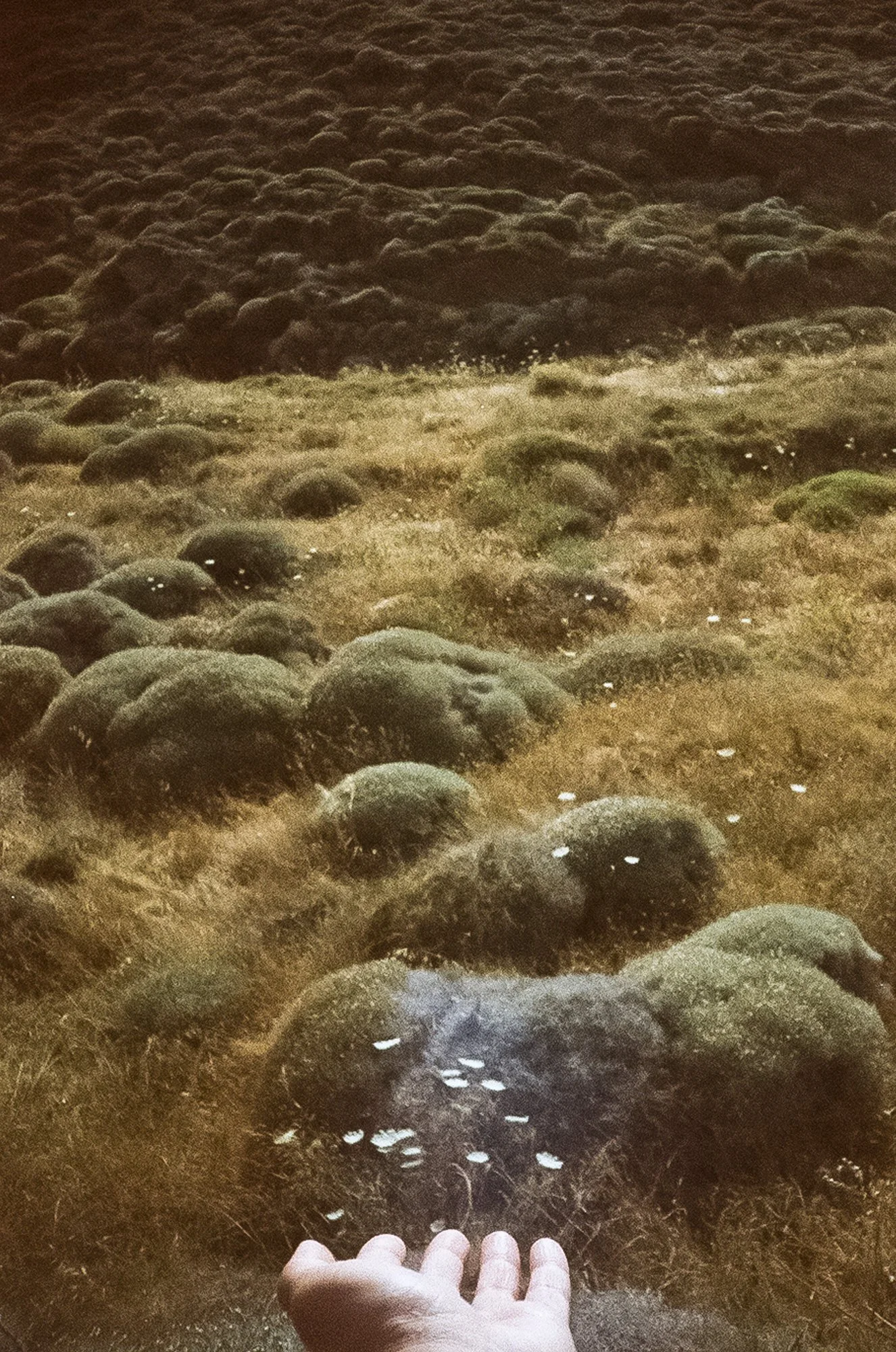  Anna Georgiou  www.annageorgiou.weebly.com  