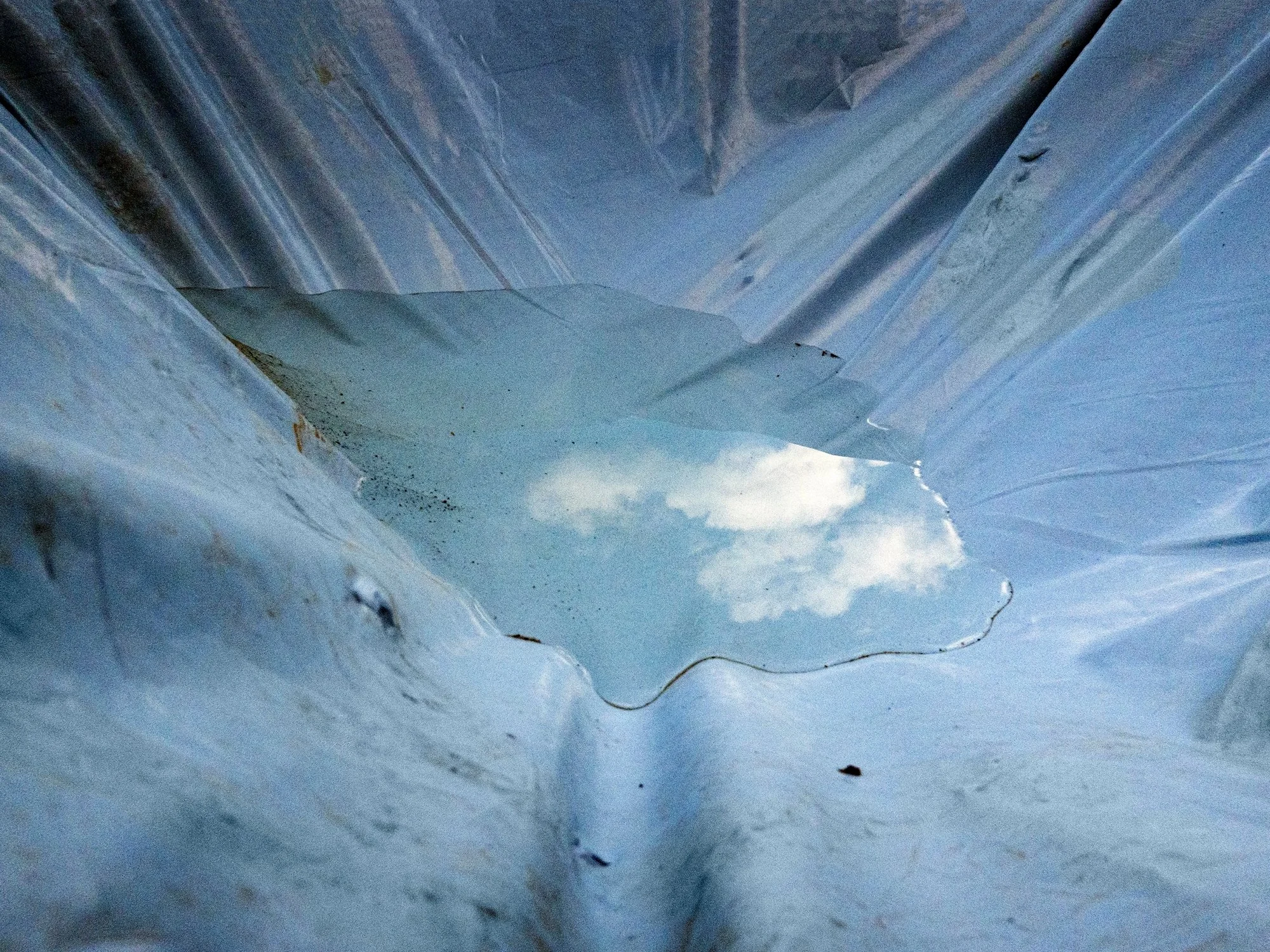   Bärbel Reinhard   www.baerbelreinhard.com  