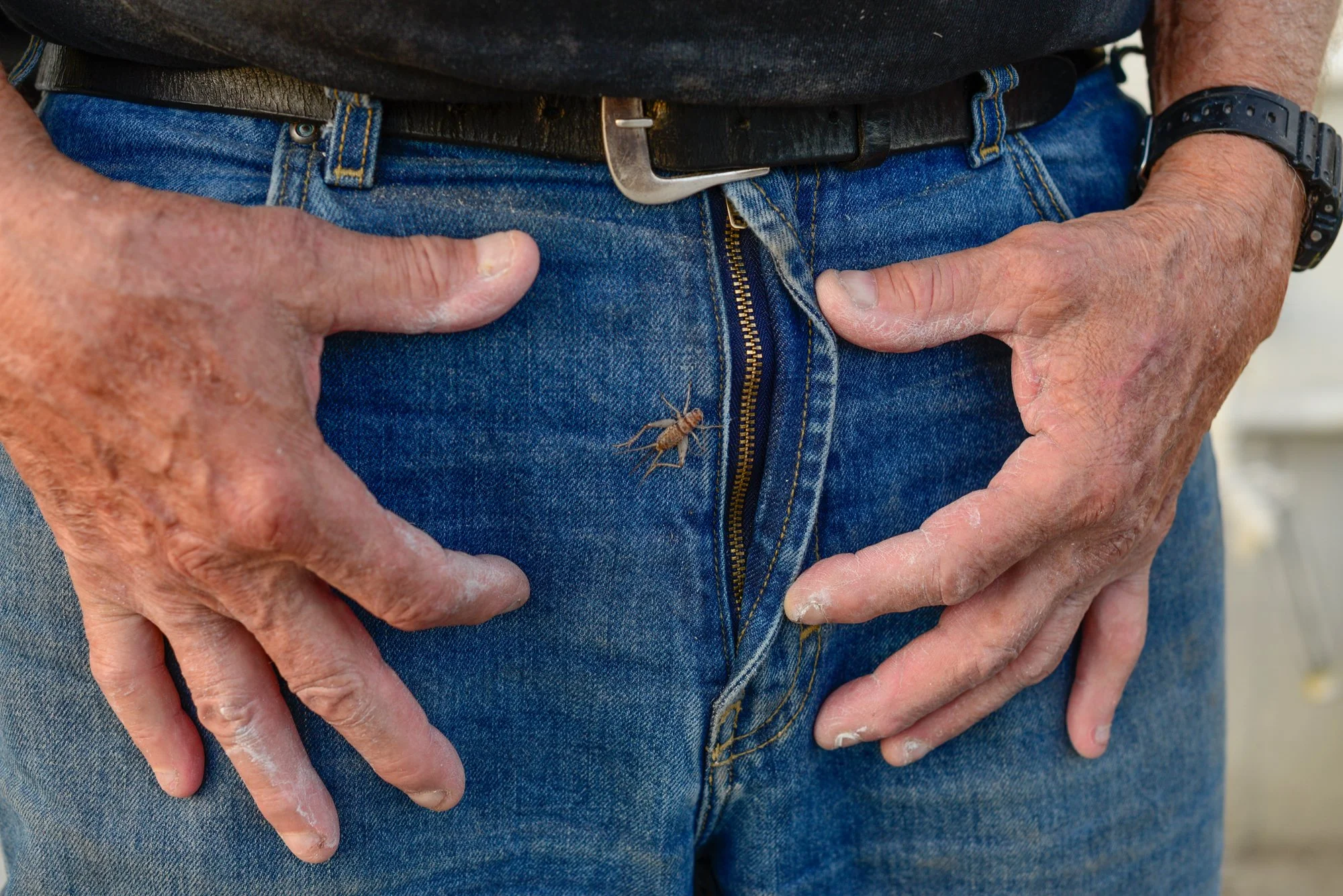   Carlotta&nbsp; Guerra   www.carlottaguerra.com  