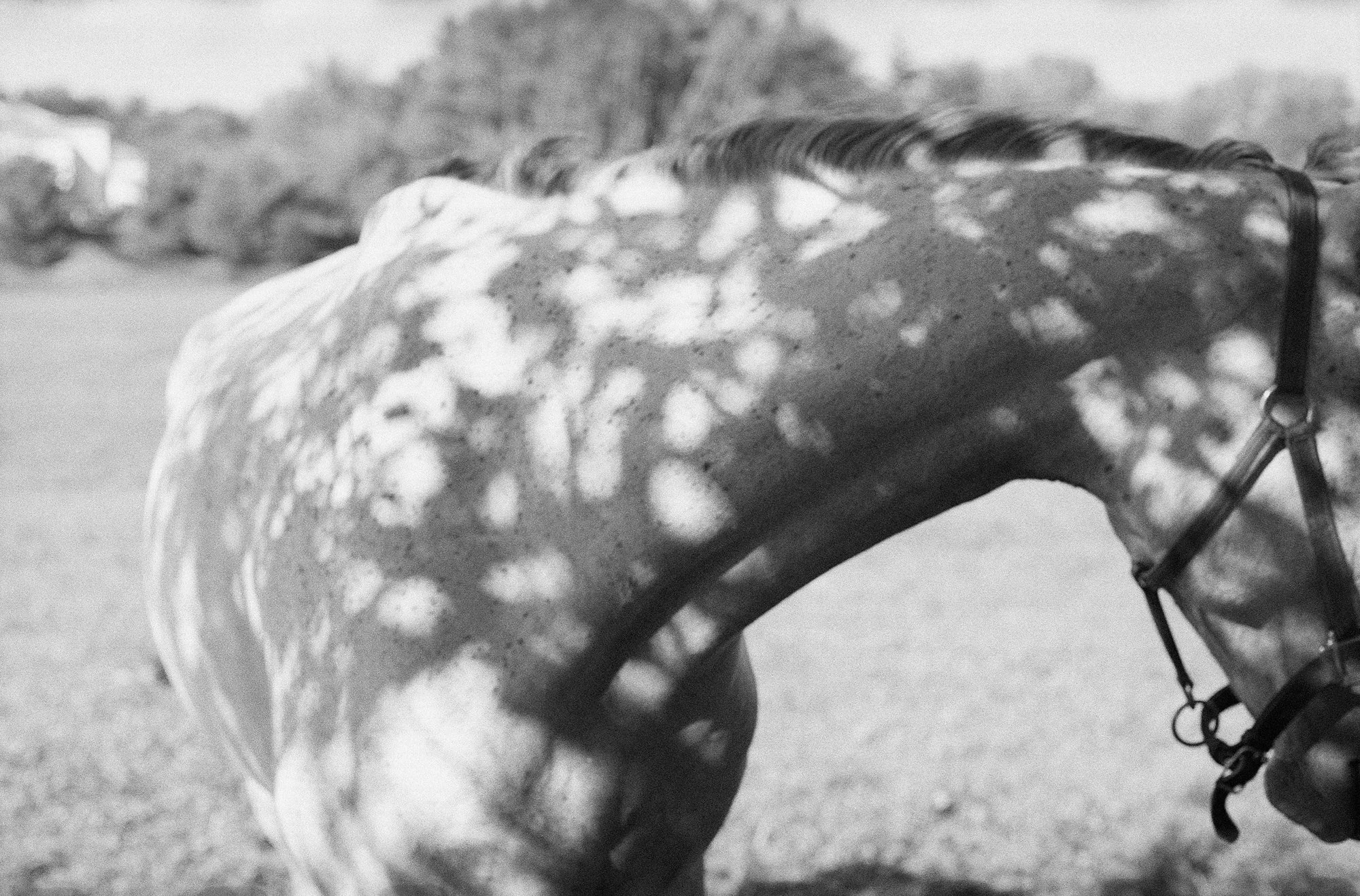   Carly Ries   www.carlyries.com  