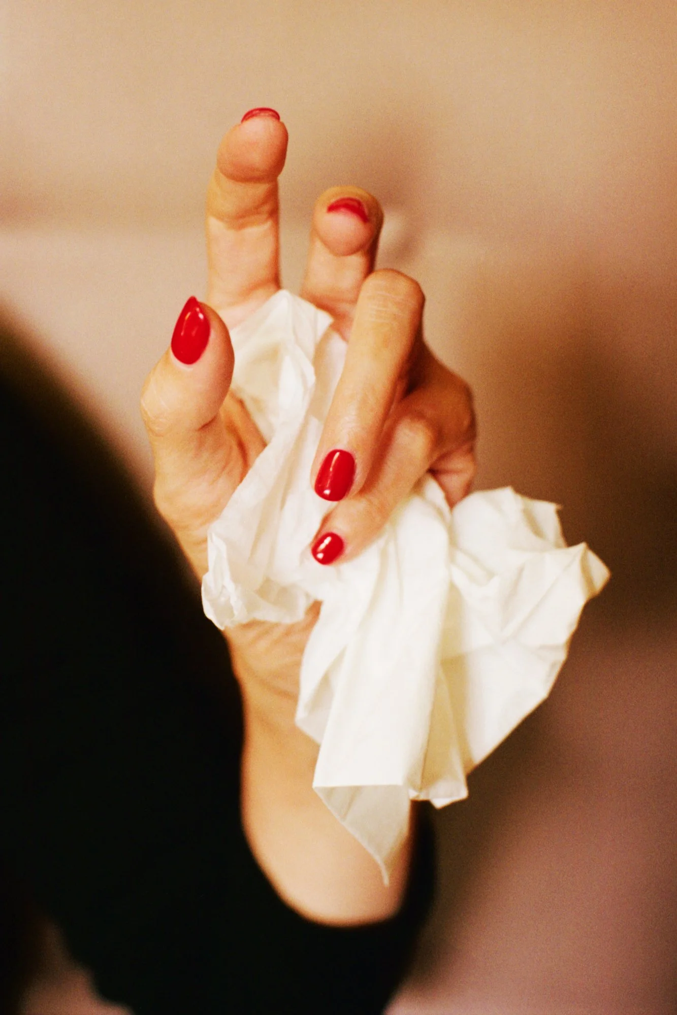   D. M. Terblanche   www.dmterblanche.com  