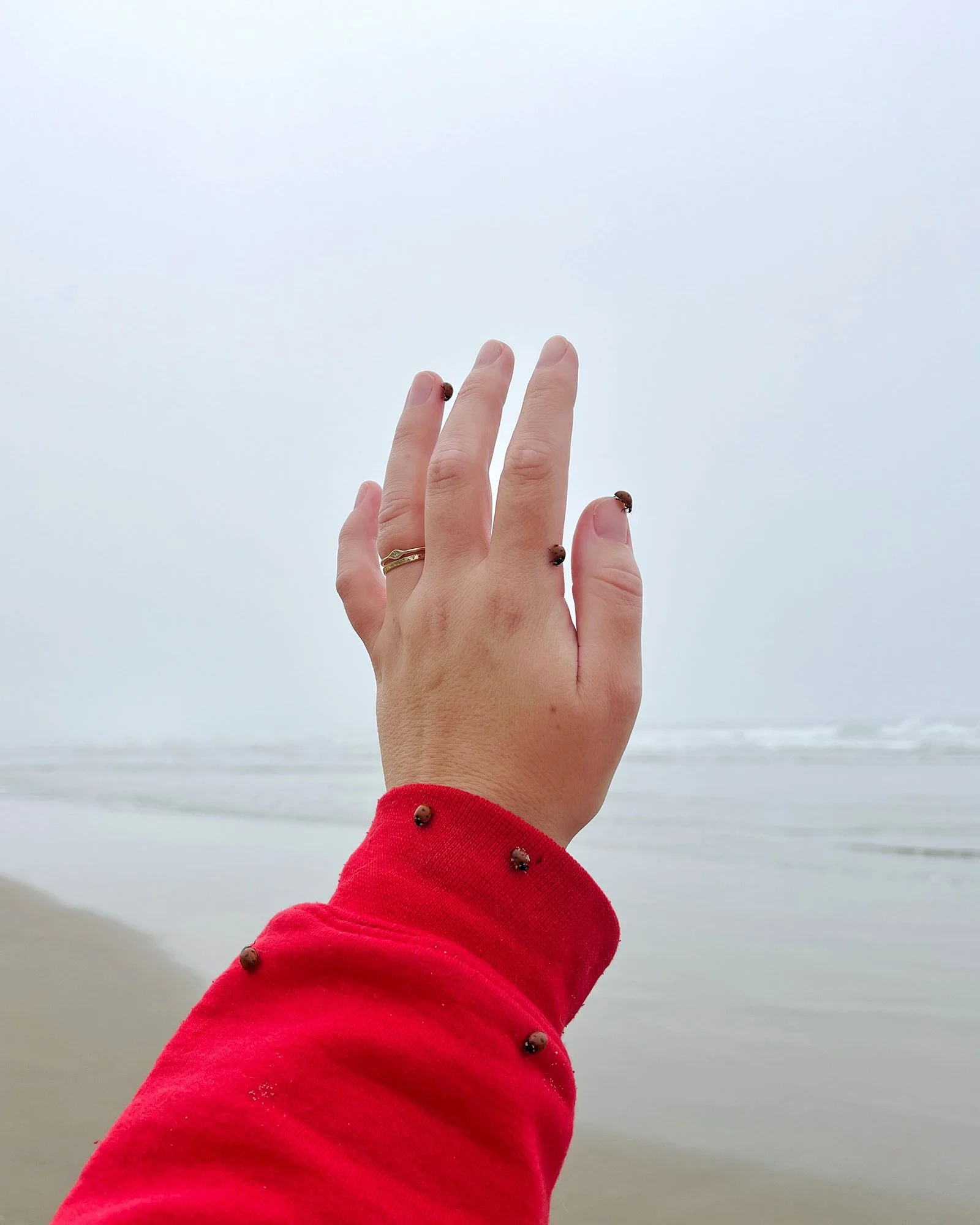  Emma Kisiel  www.emmakisiel.com  