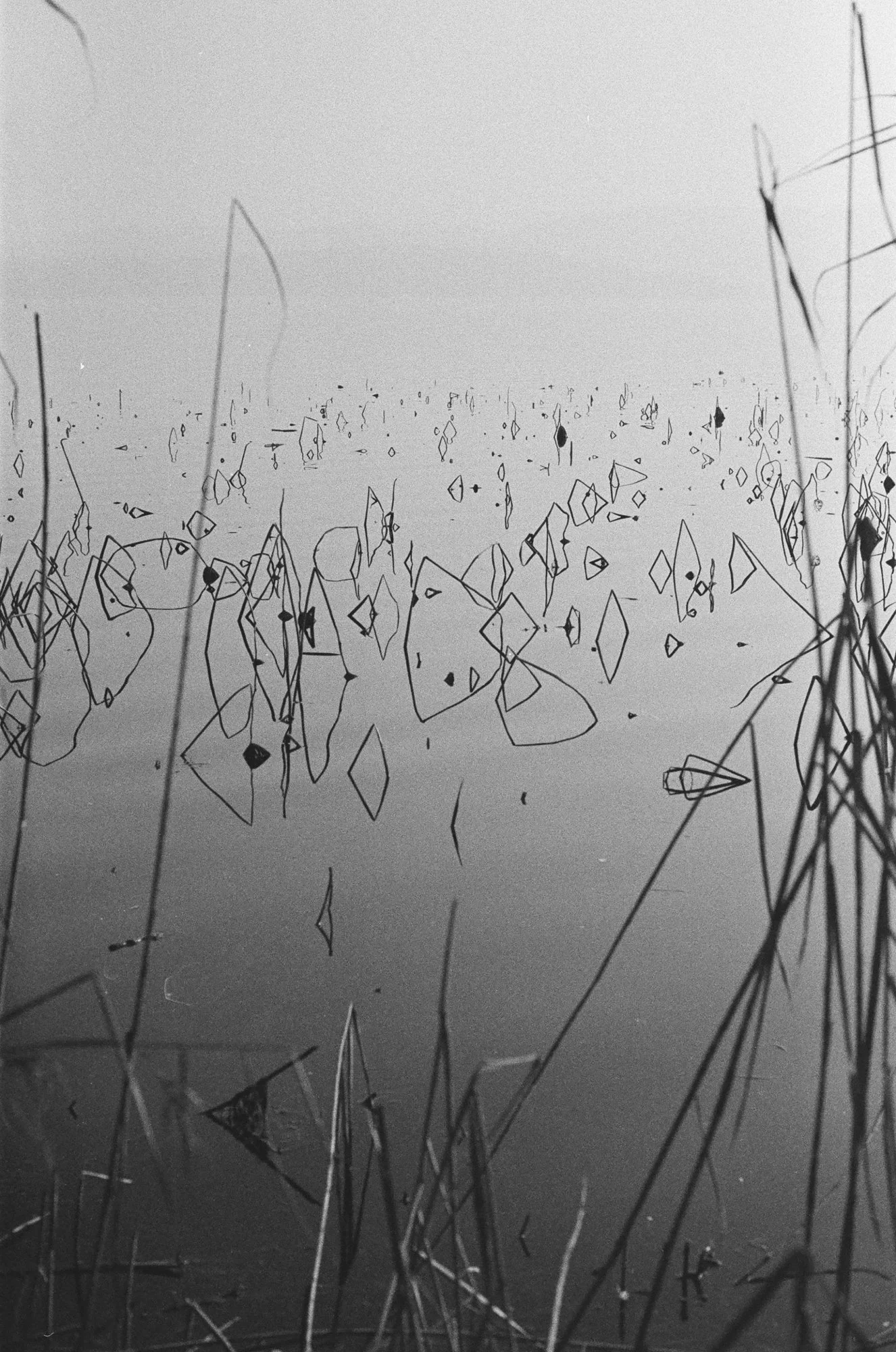   Fred Cigno   www.fredcigno.com  