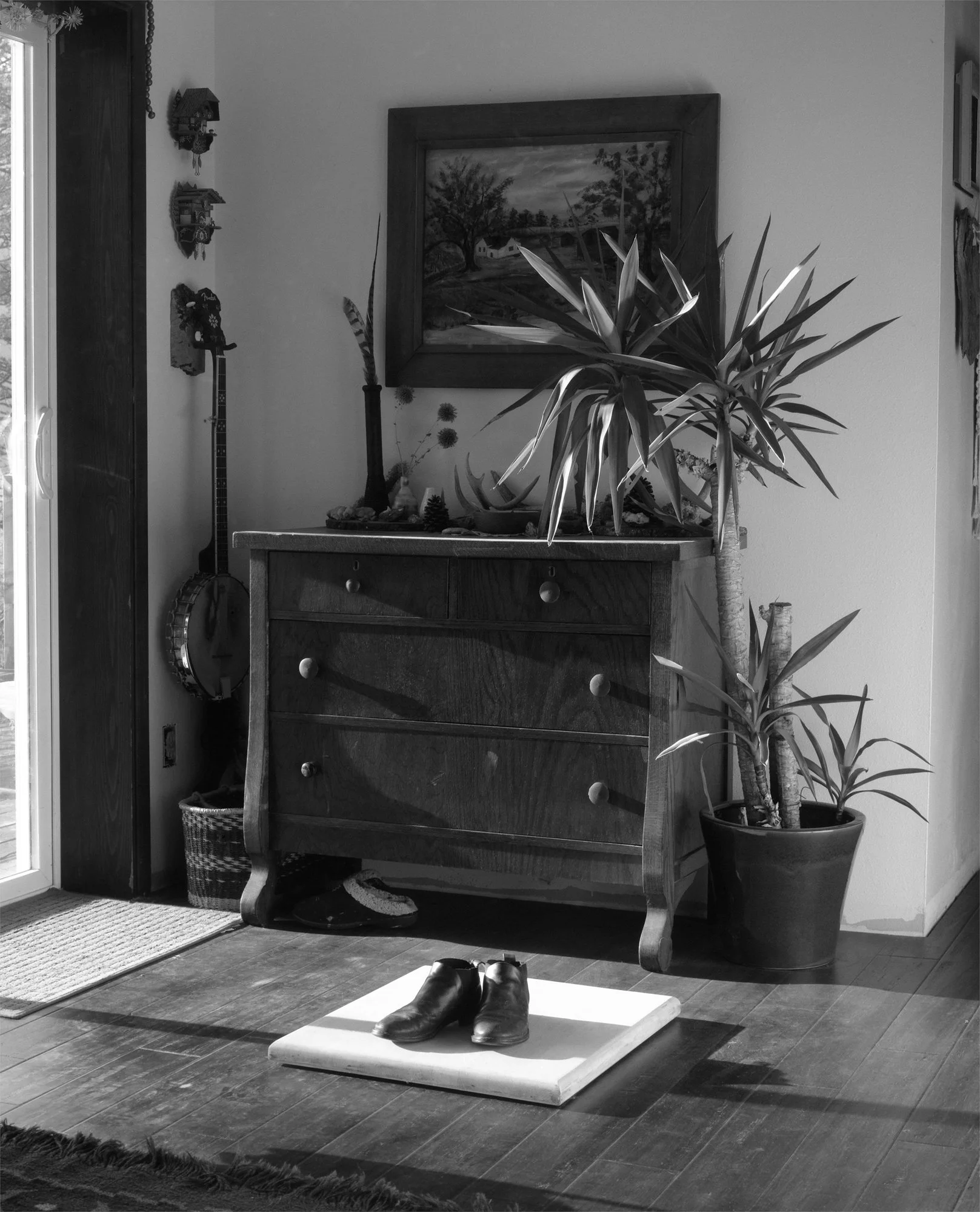   Helen Jones   www.helenjonesphotography.com  