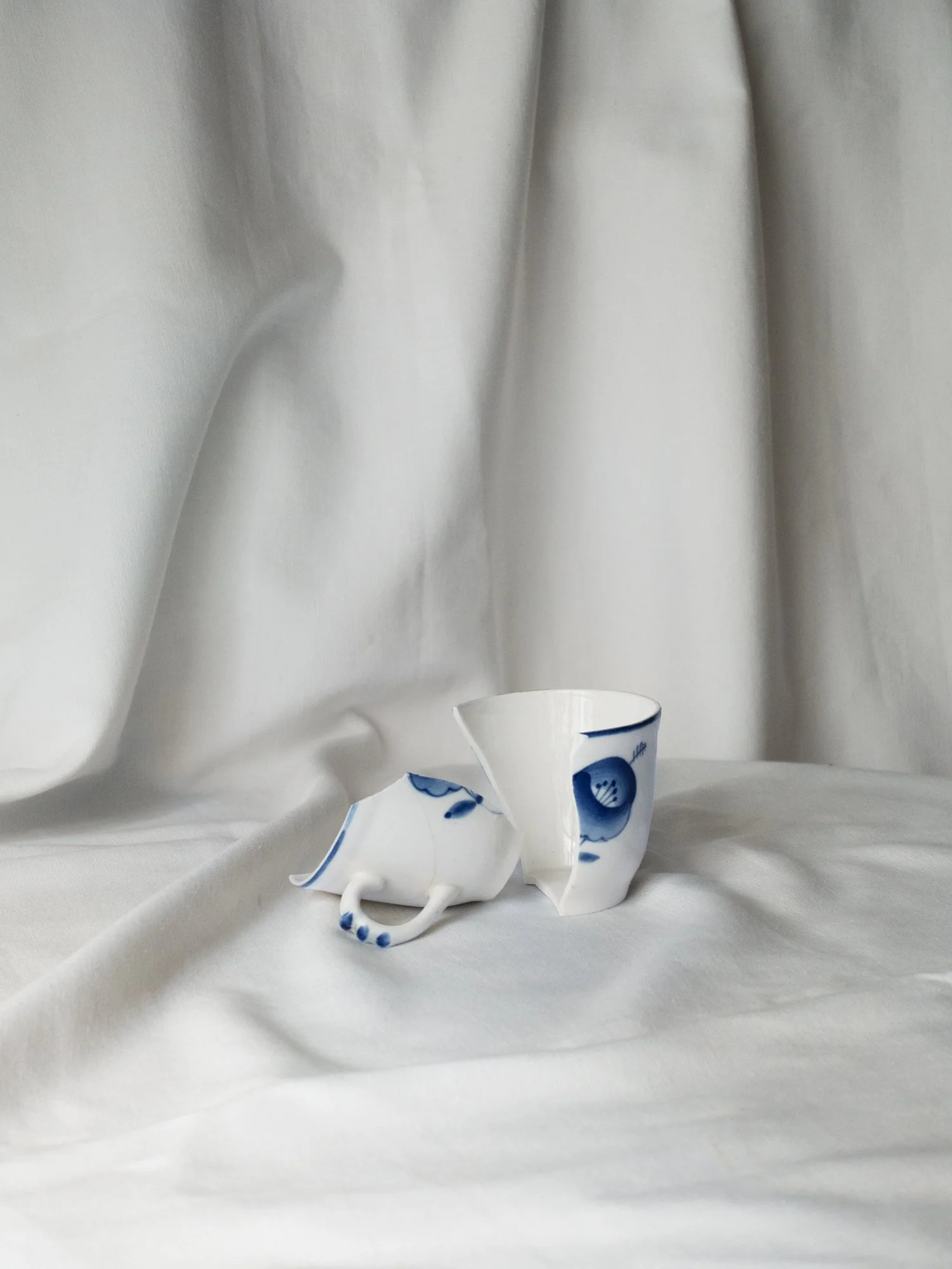   Jenny Rafalson   www.jennyrafalson.com  