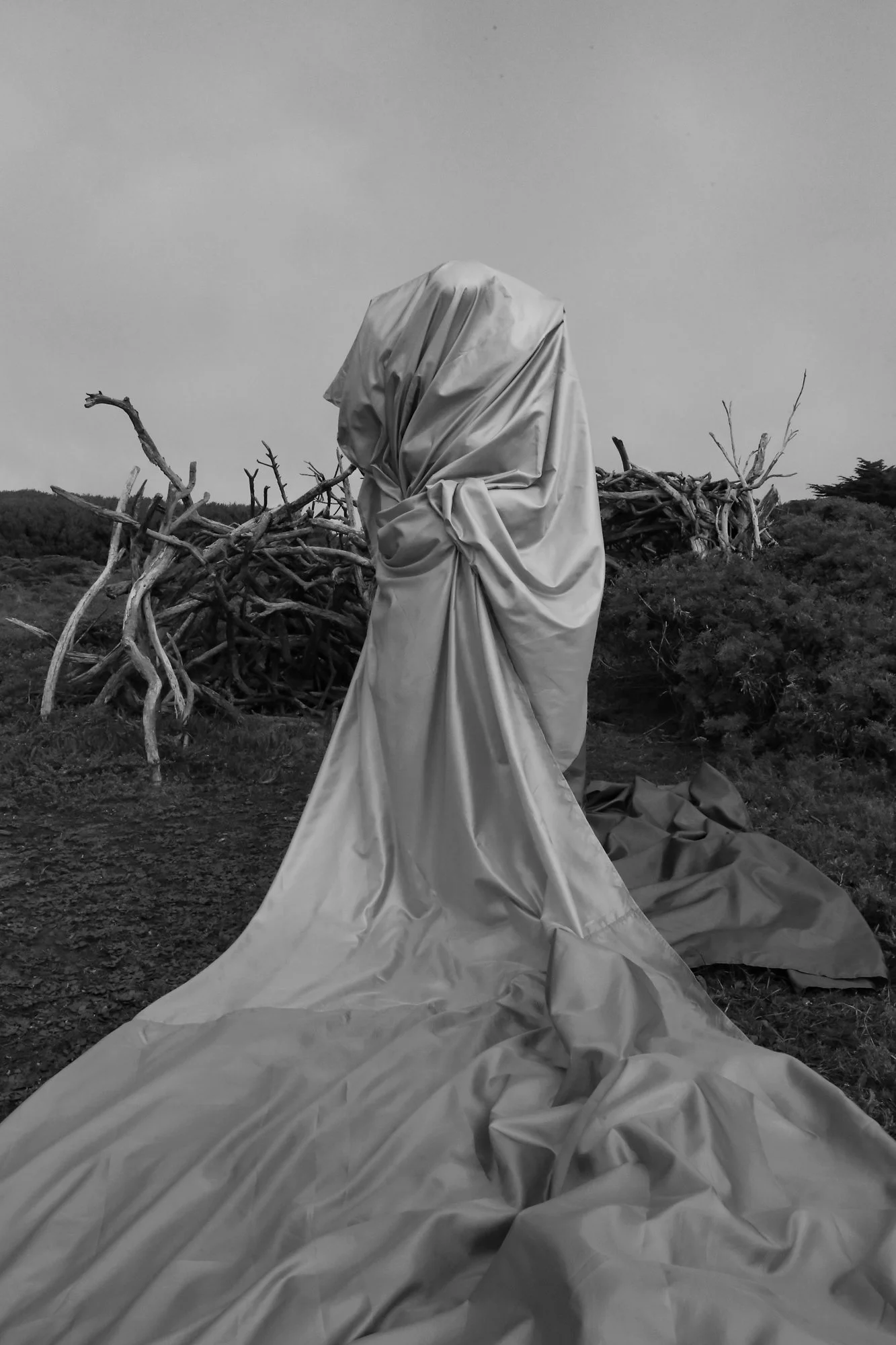   Joan Benney   www.joanbenney.com  