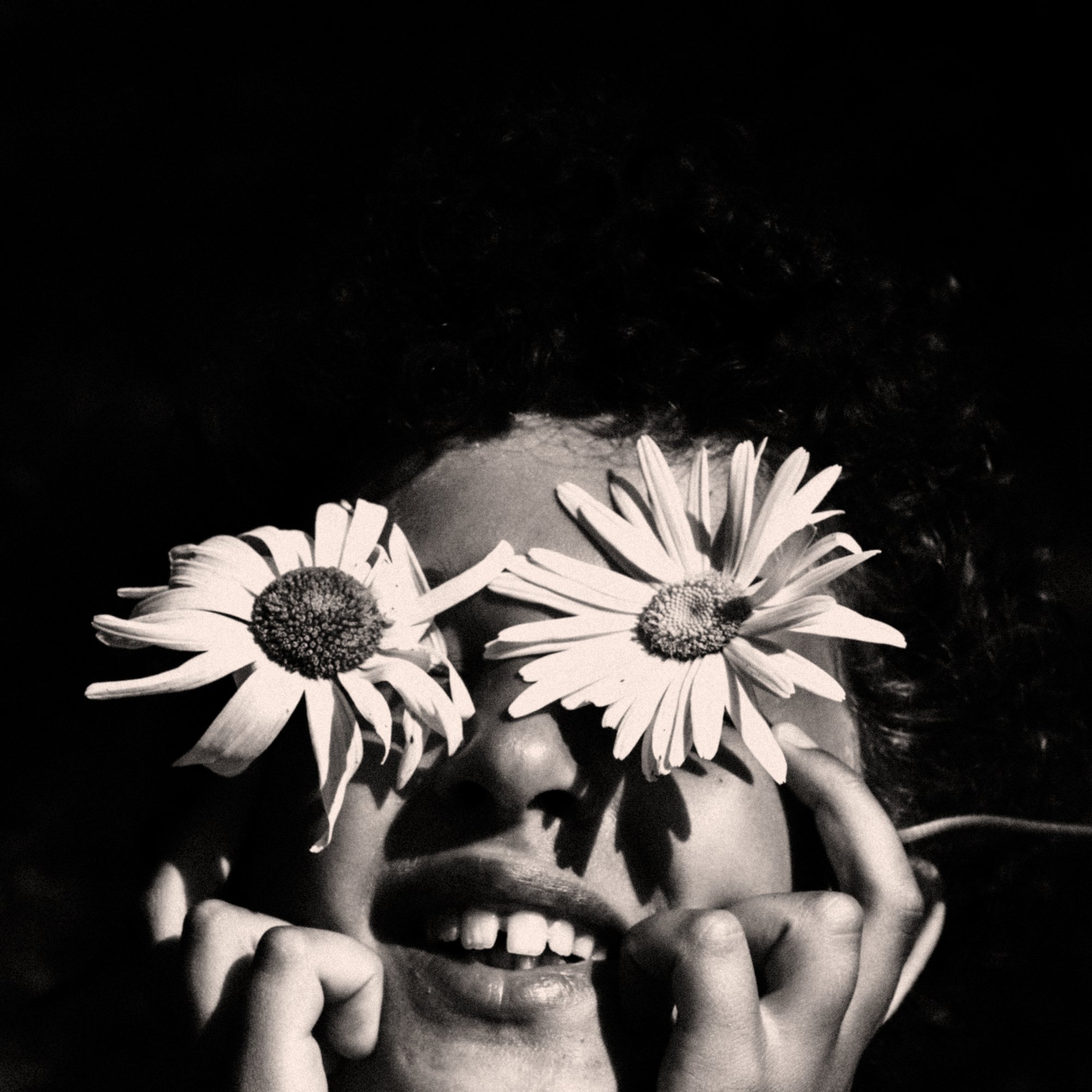   Jonė Reed   www.jonereed.com  