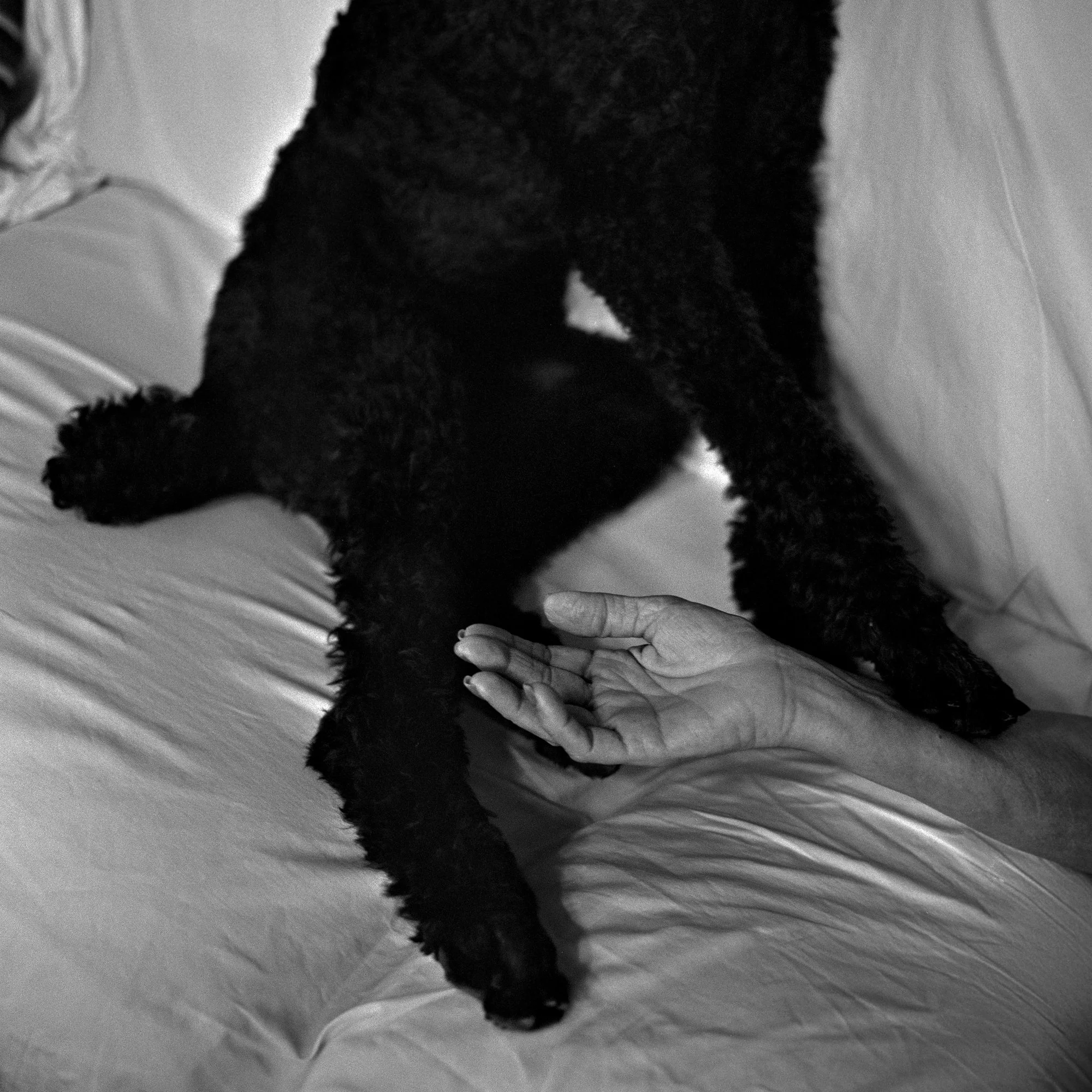   Kyle Makrauer   www.kylemakrauer.com  